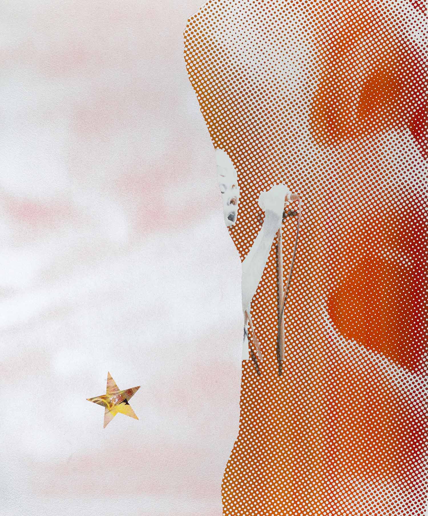 NICK KLEIN & REECE COX “BRING THE FLOWERS POSER COLLAGES 1”