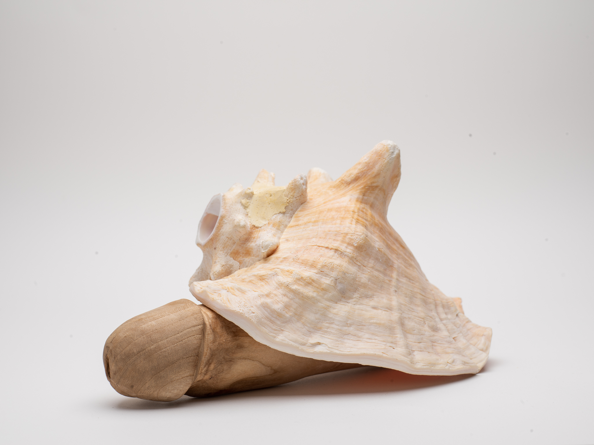 From the series "Apple Orchard, 1982." Concha, a study of residues of a photography action. 2026.