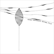 Metal Mountains Golden Trees CD / LP - Amish (2011)