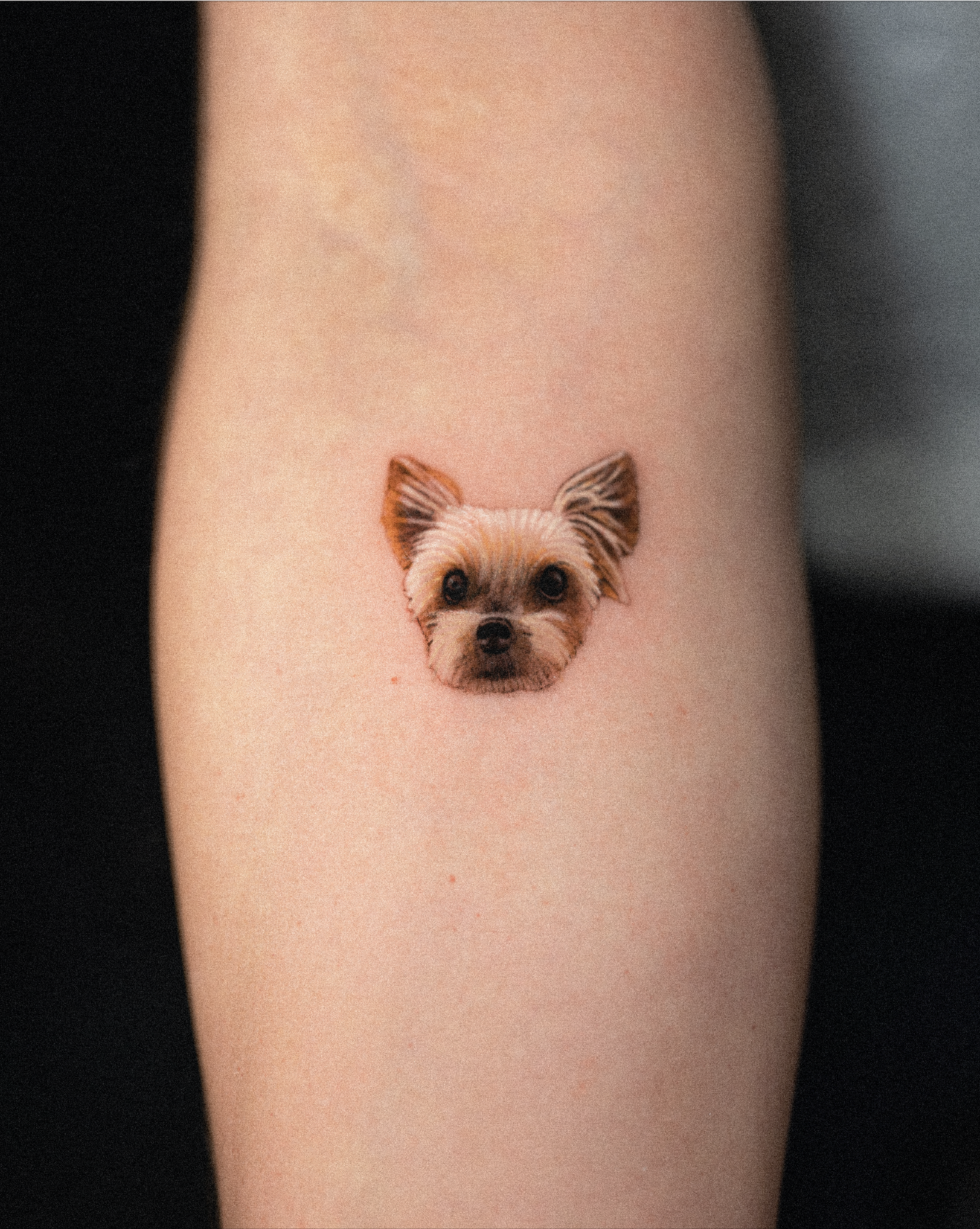 30 Cute Small  Simple Dog Tattoo Ideas for Women Animal Lovers  MyBodiArt