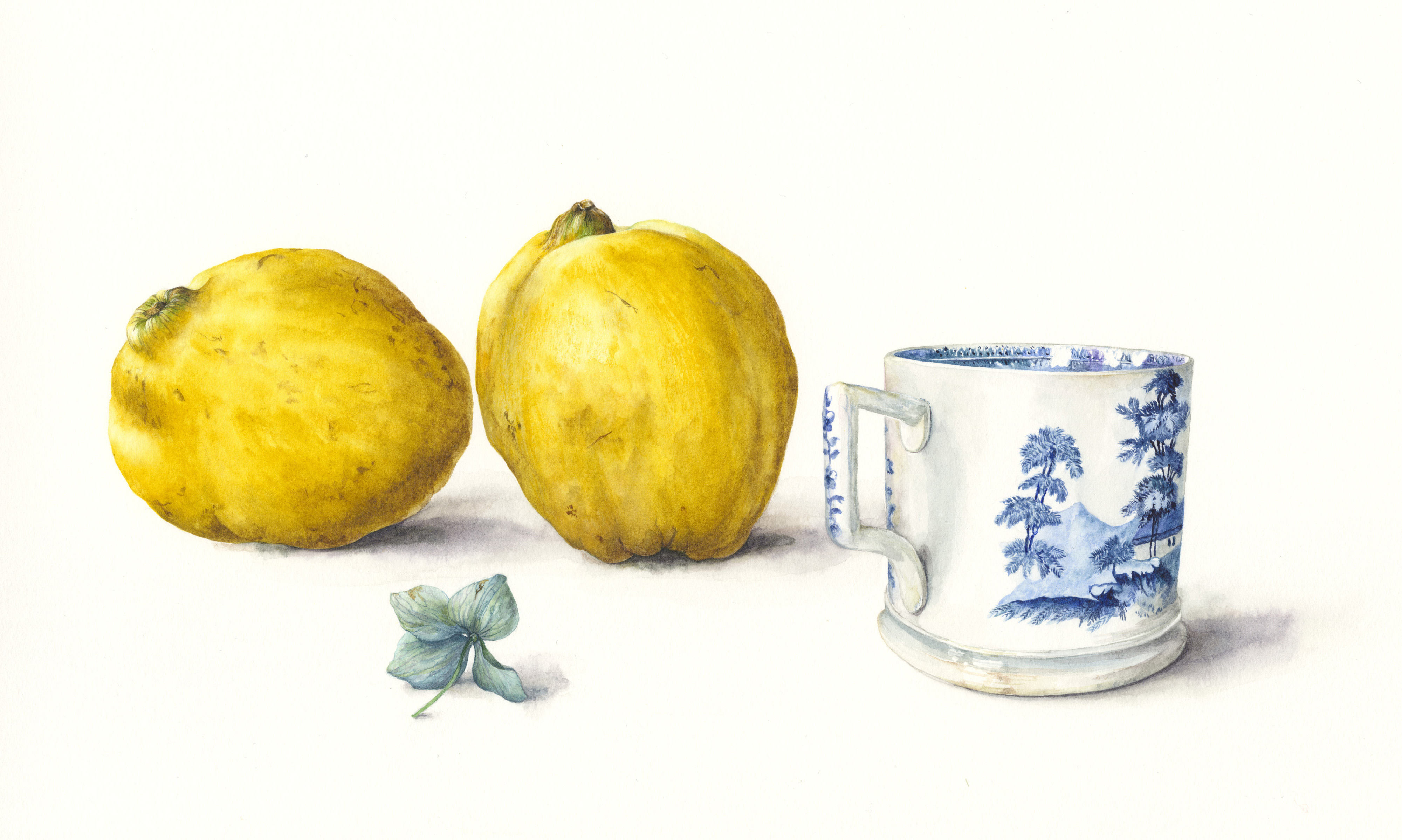 Old willow pattern cup and quinces