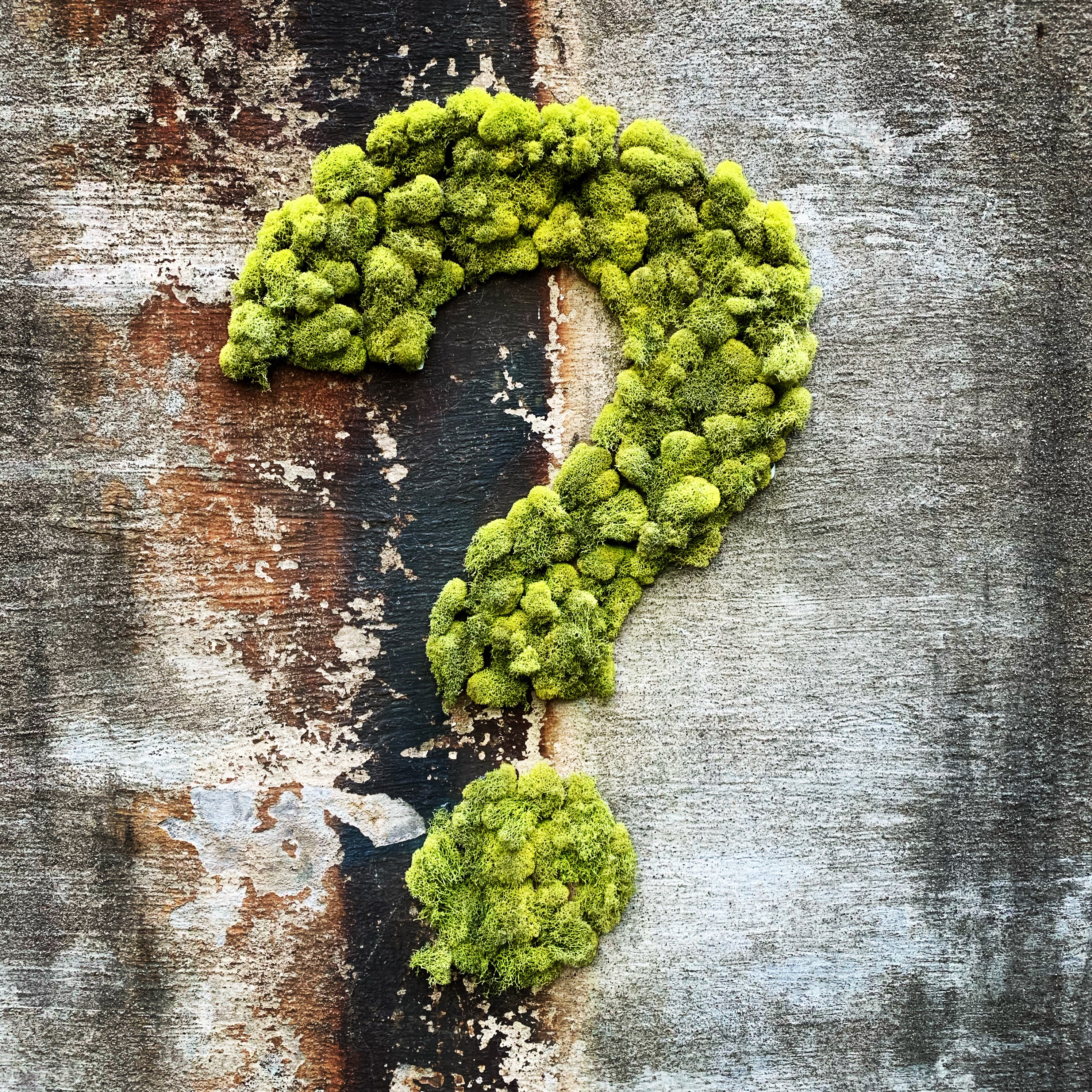 Where To Next / Taken October 3, 2020; posted November 29, 2020 / Photo: Alexandra Hay @ahay625