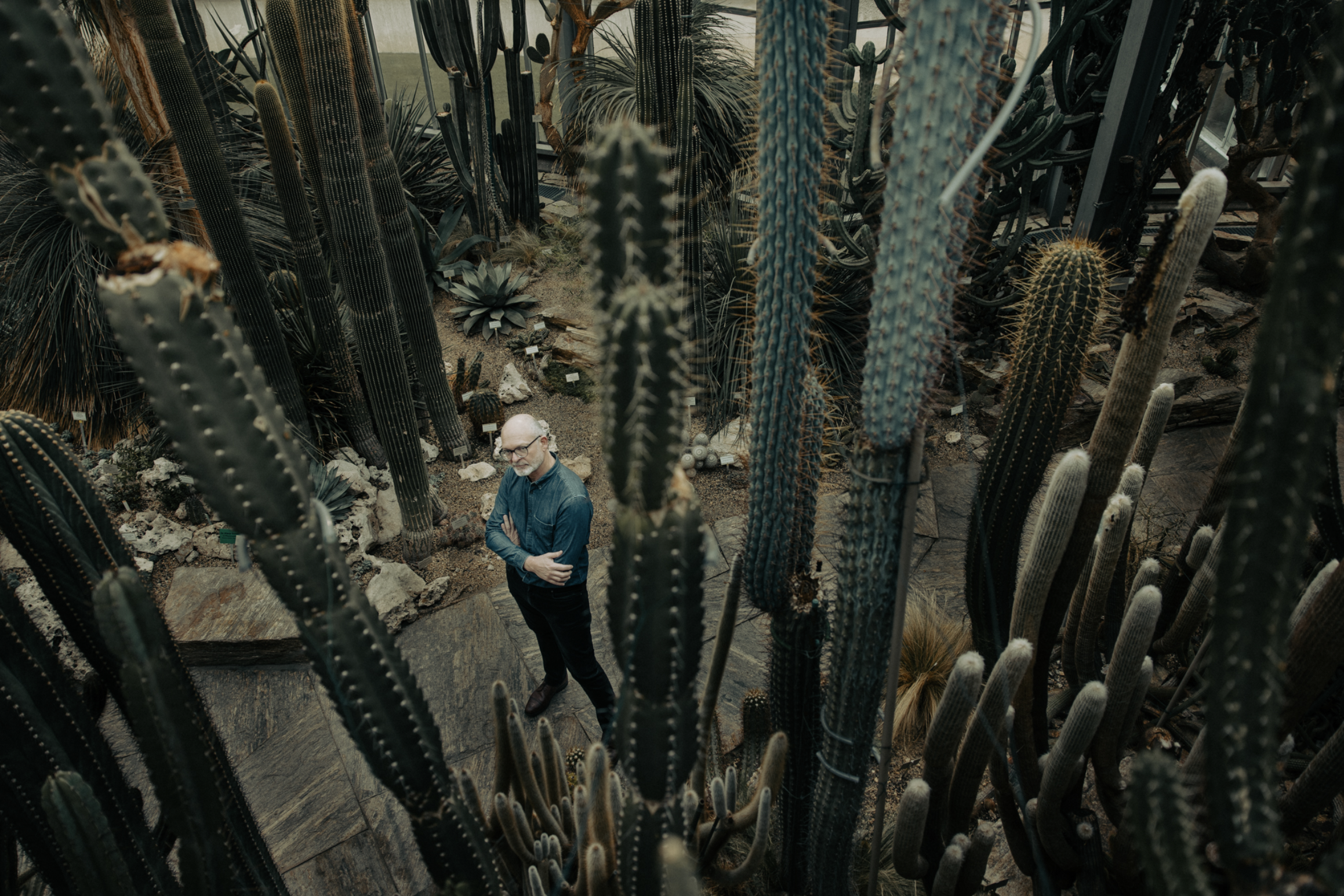 Willem de Rooij / Art Magazin