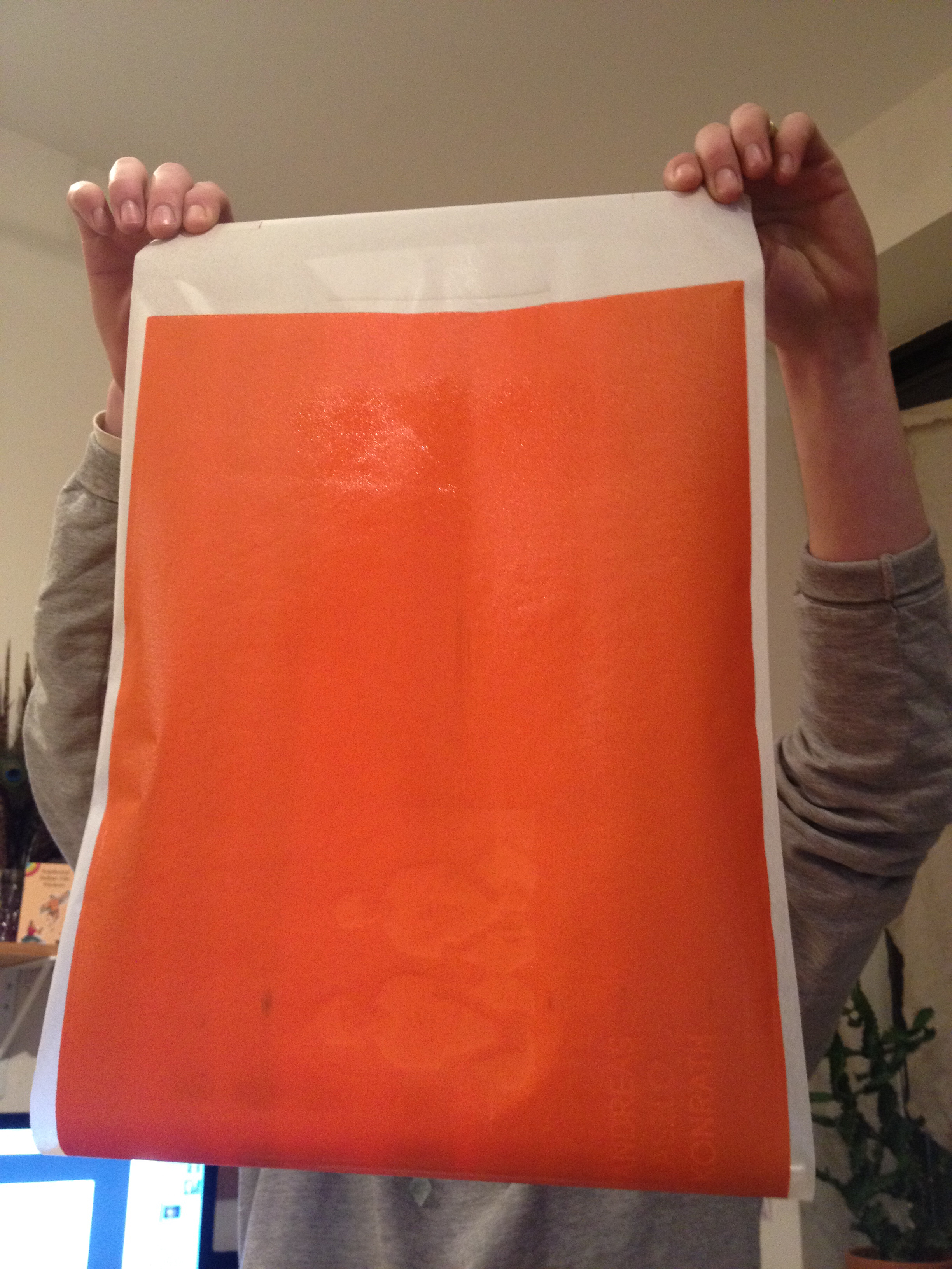 RISO Master