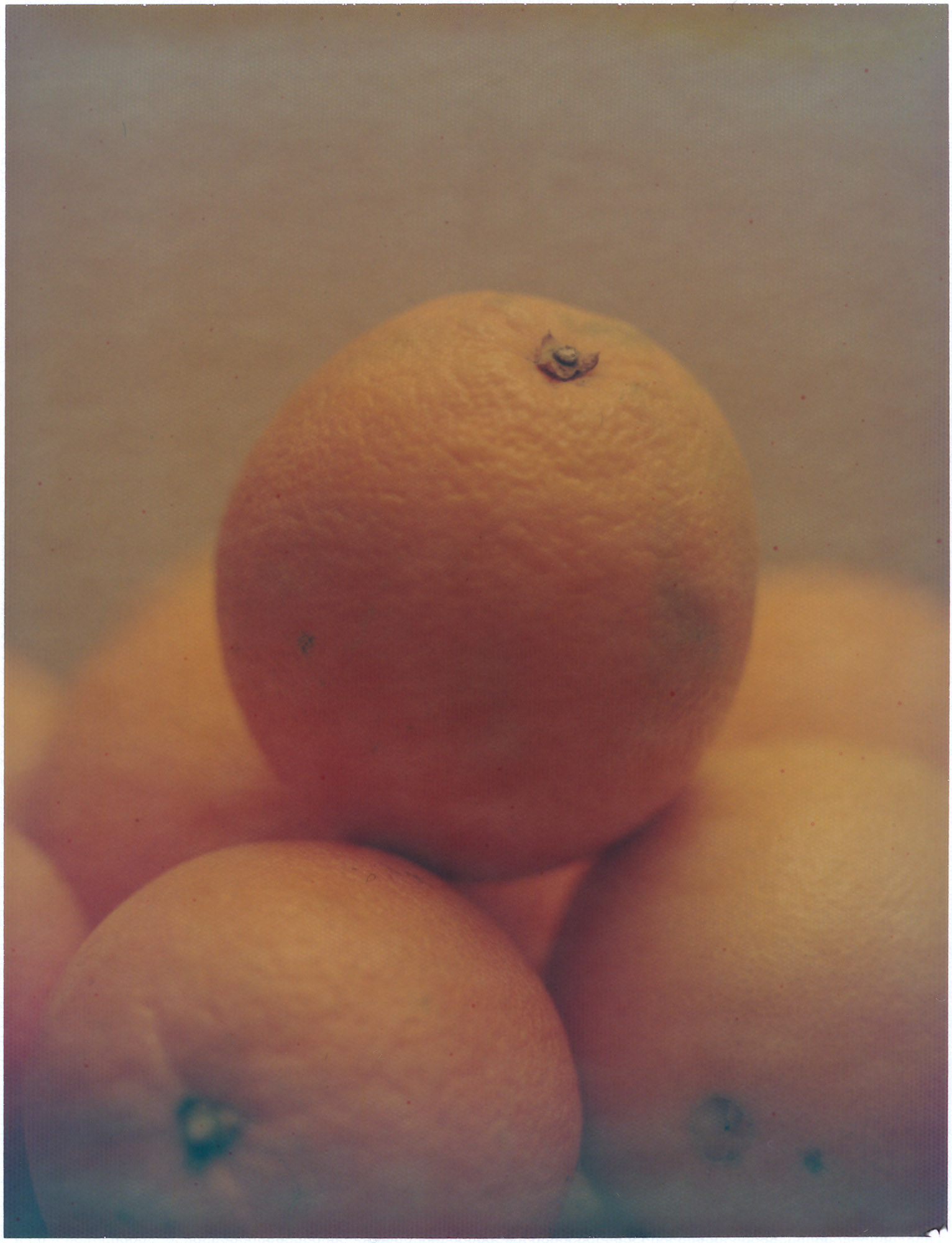 Field study for Restoration to a Better Past