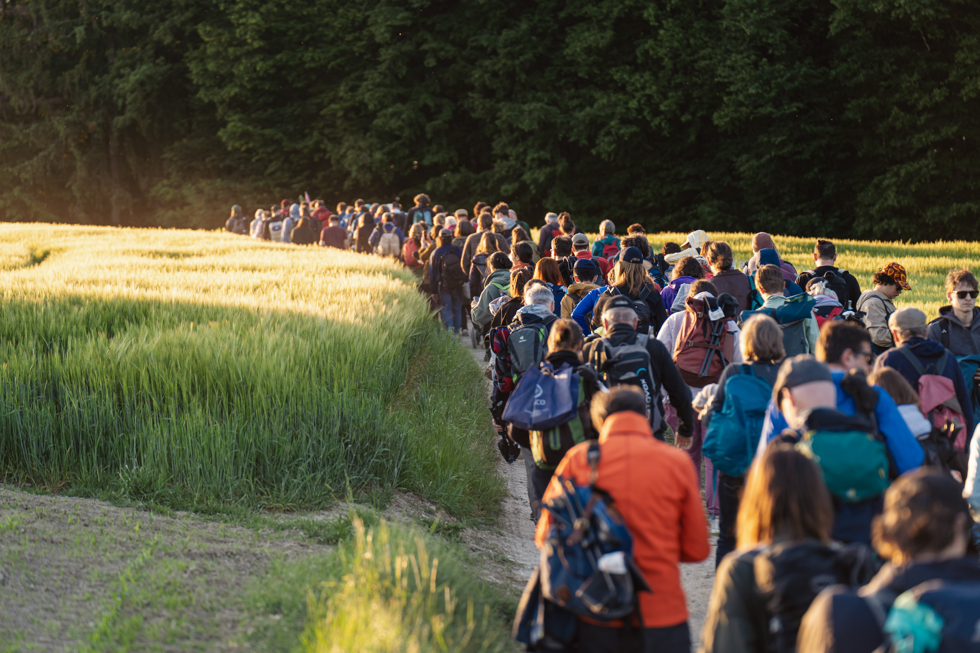 © Robert Puteanu / Tangente St.Pölten