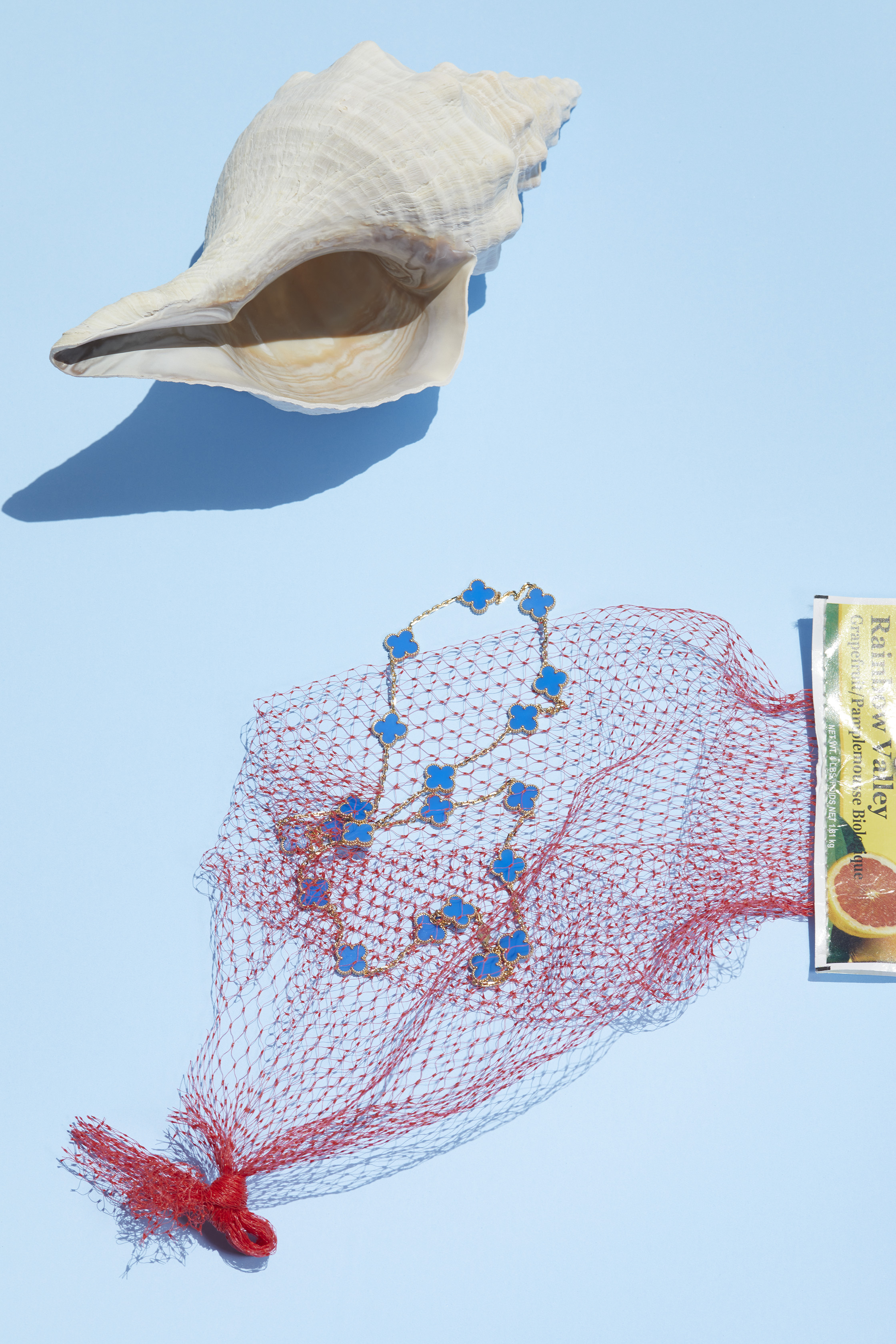 Van Cleef Necklace. Photograph Roe Ethridge