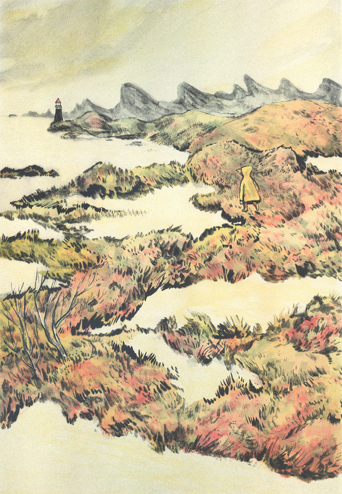 wetlands, c.simonis