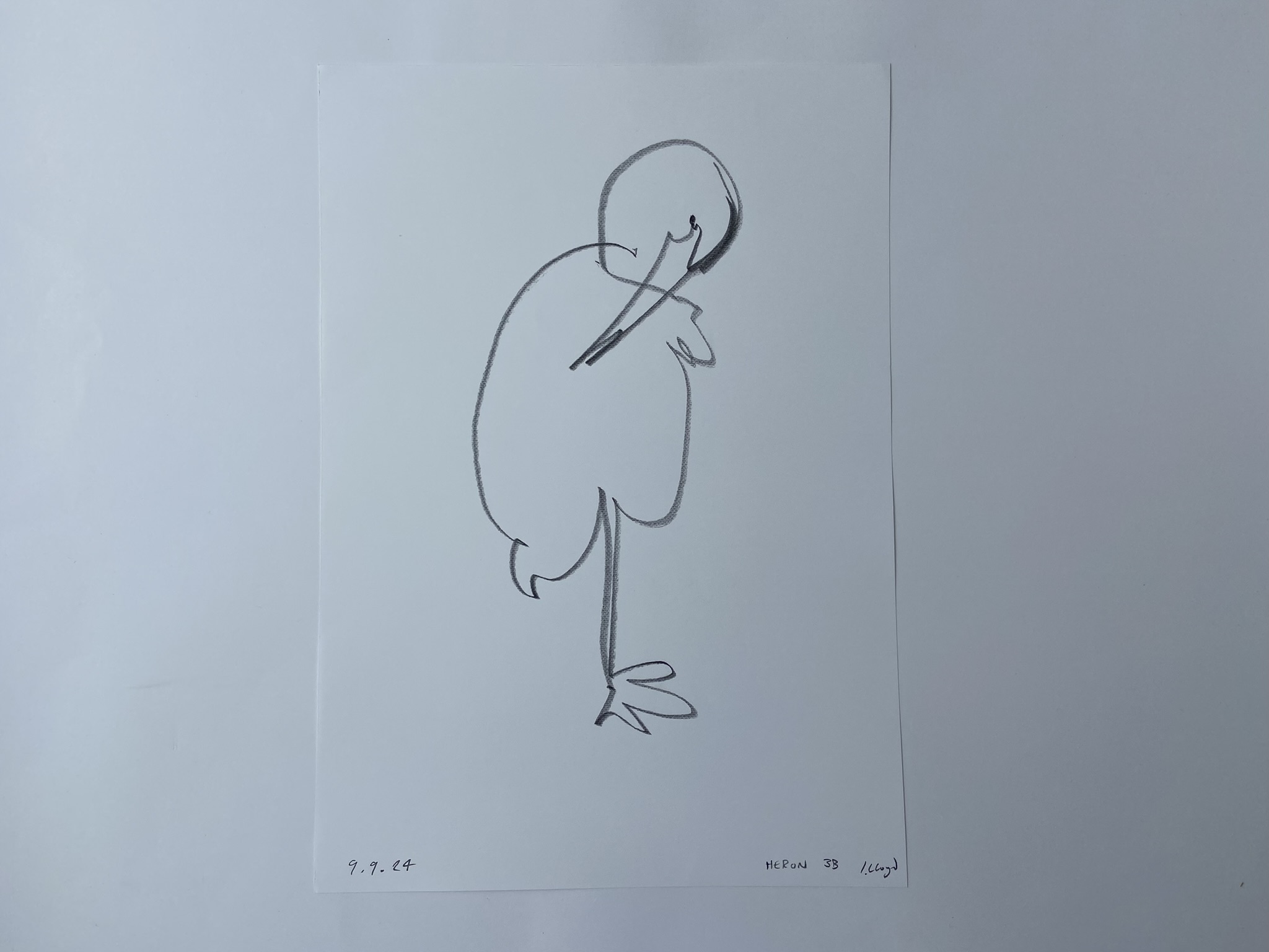 Heron (light), Pencil on paper, 21 x 30 cm