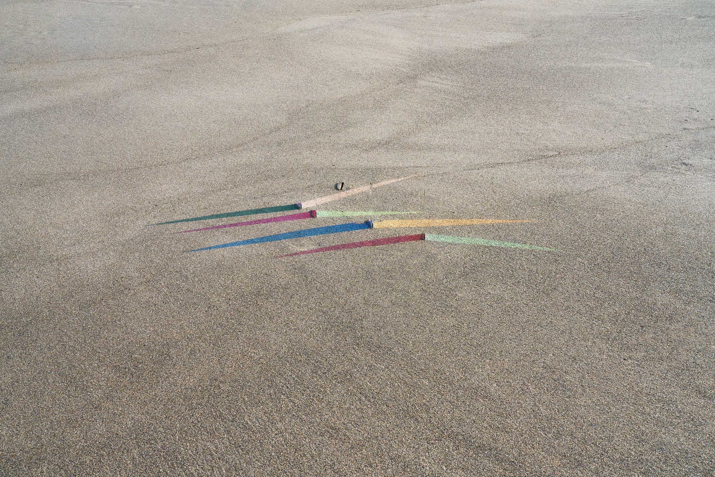 Sloth  2019 Giclée print 426 × 640 mmEdition of  7 + 2 AP’s