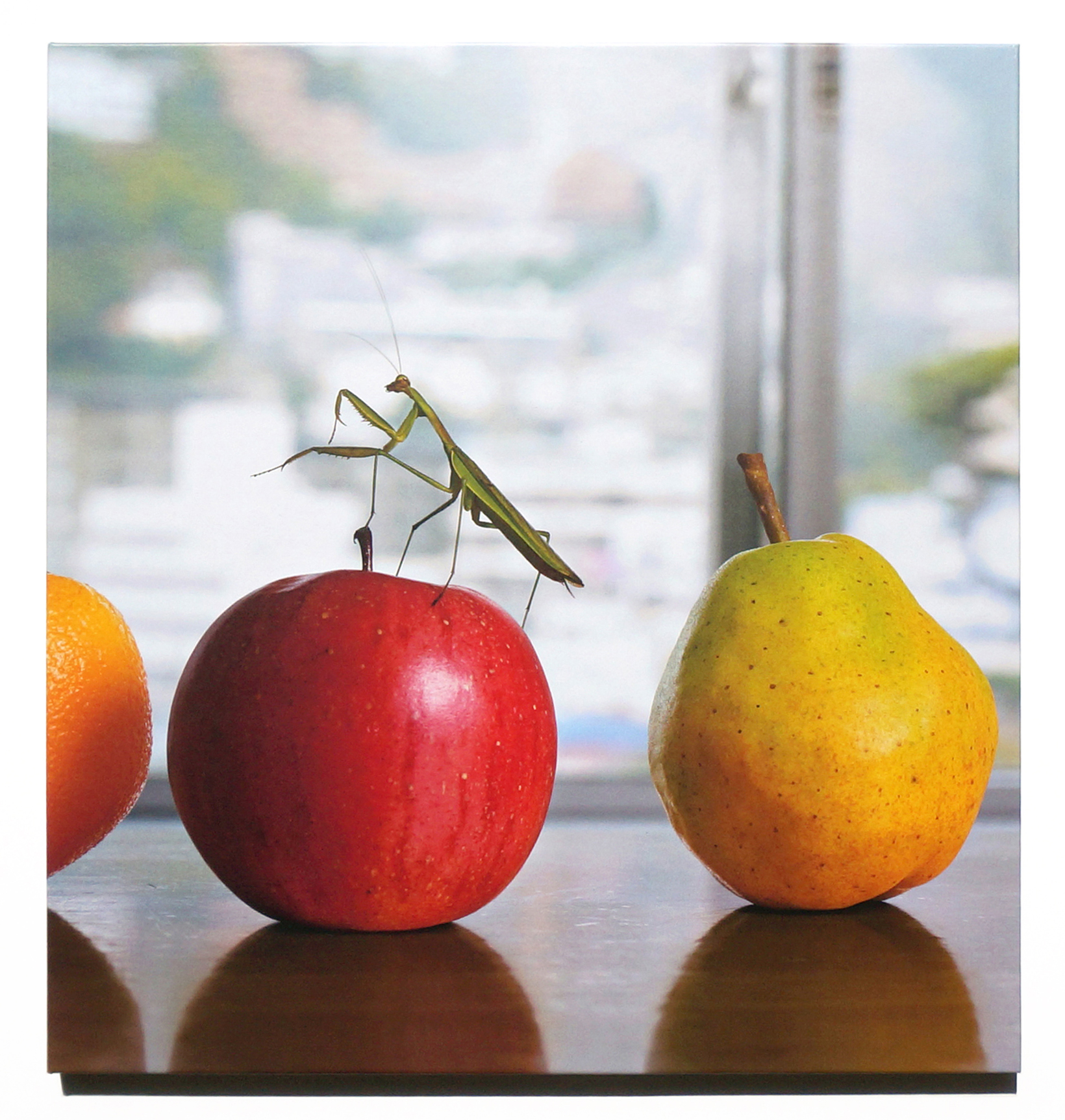 Nearly Eternal &mdash; Steve Nakamura & Norbert Schoerner. A photography book about fake food. Haunting, beautiful and slightly humorous, Nearly Eternal traces a fine line between reality and fiction. Negotiating different levels of artifice, the photographs challenge the assumed authenticity of the food book, inciting artificial desire in the viewer&rsquo;s mind. Each photograph is a portrait of food in its perfect form &ndash; as display.  Chance Publishing, imprint of Claire de Rouen Books (2016) Hardcover, 30cm x 28cm 104 pages Edition of 500 Printed in Japan &ldquo;All man&rsquo;s efforts are for his mouth, yet his appetite is never satisfied.&rdquo; (Ecclesiastes 6:7)