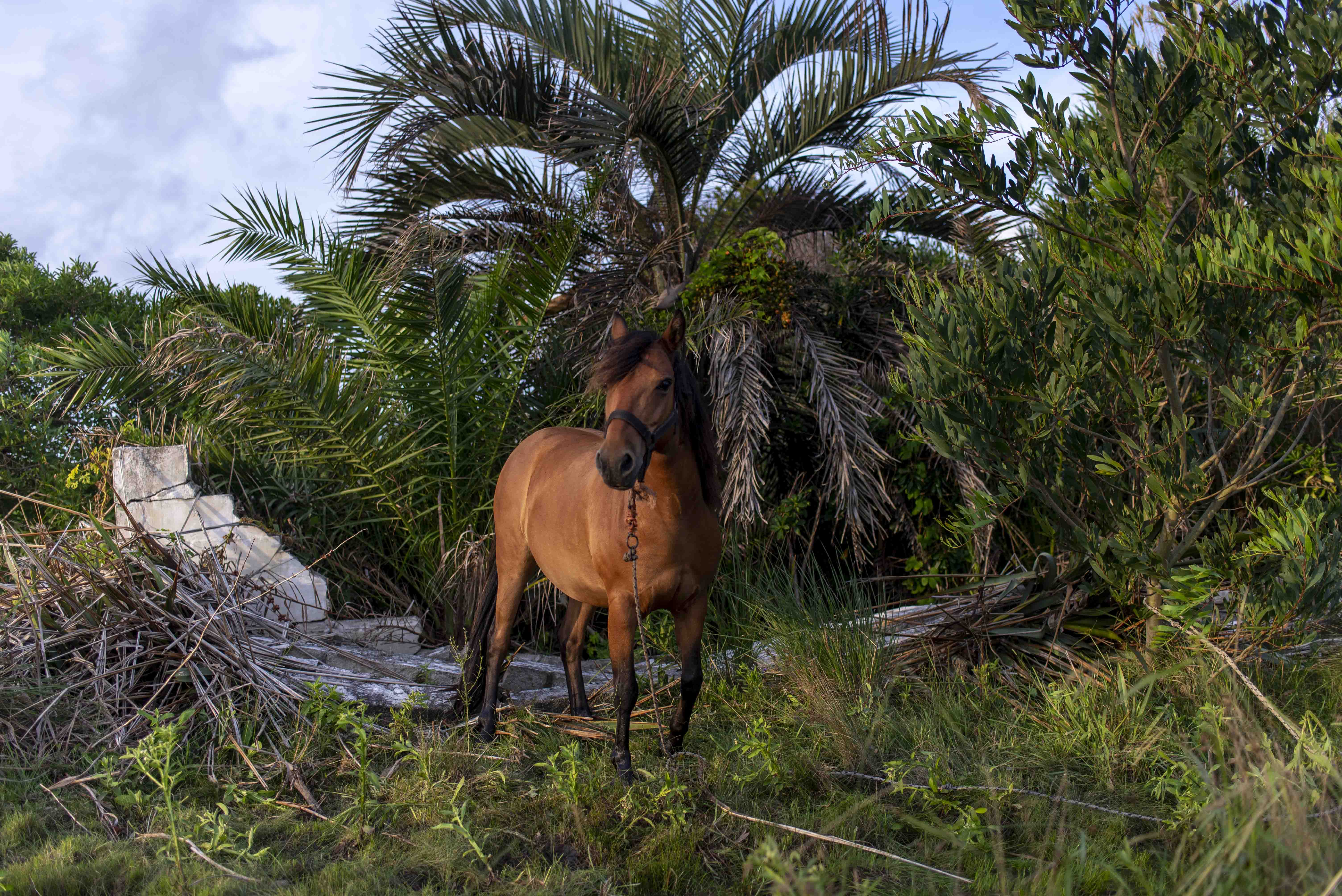 La Coronilla, Uruguay. 2018