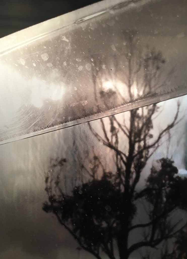 Tree, 60 x 45. Latex Ink on Silver Vinyl.