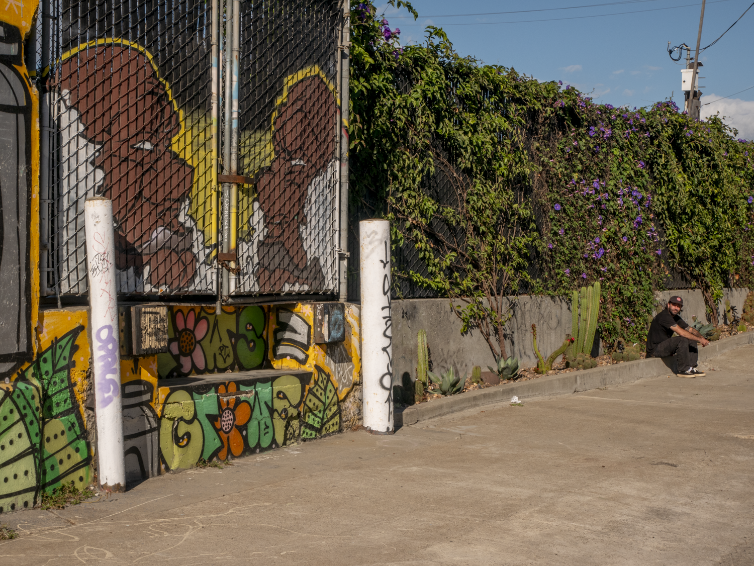 708 Camelia Street, Berkeley