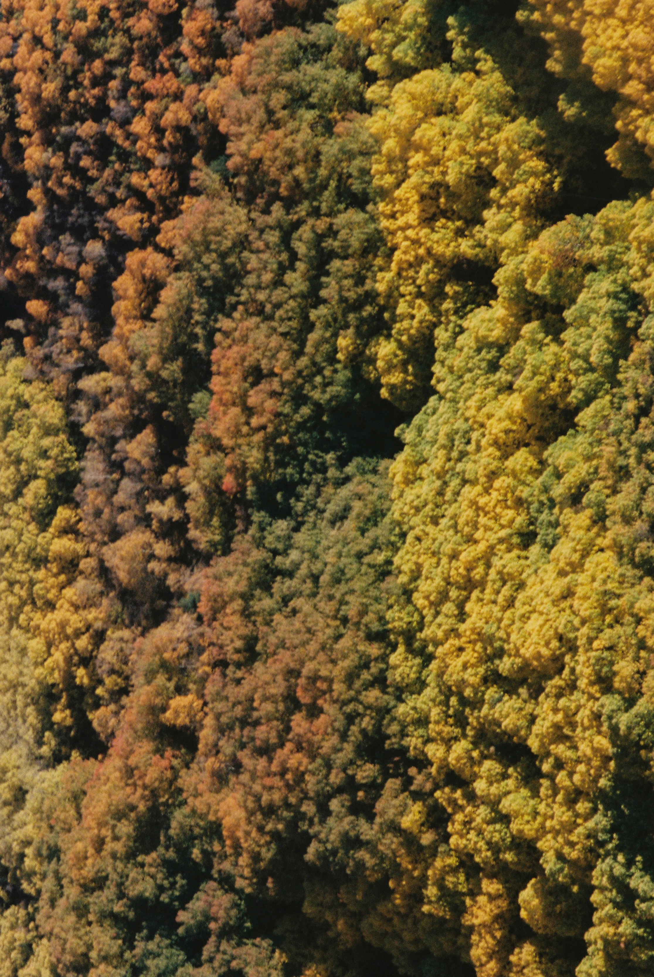 Story for Eldoradoexperience 