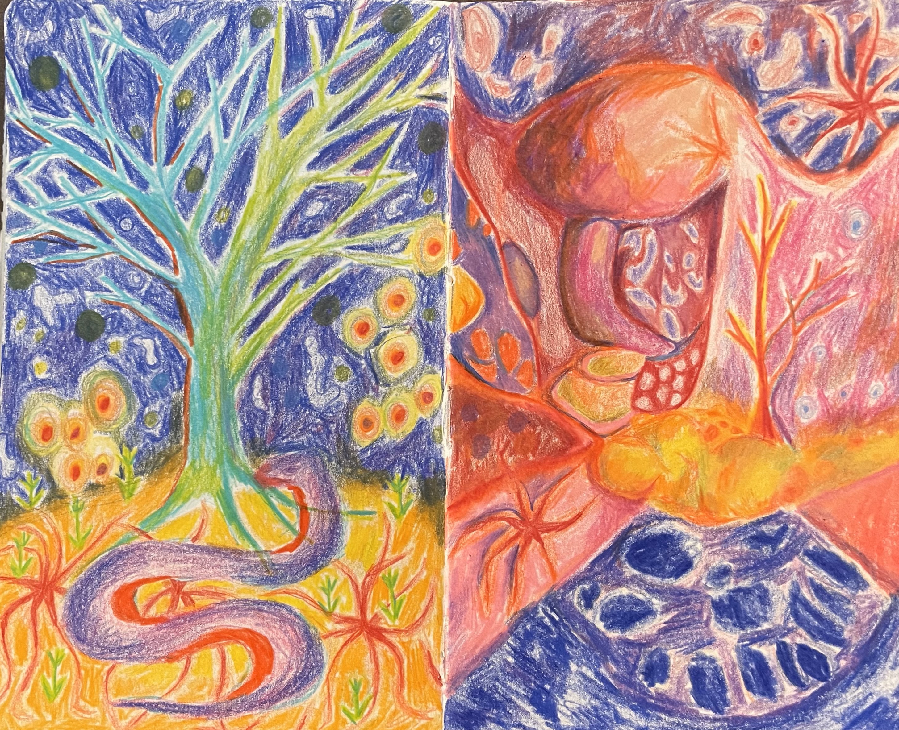 preliminary drawings, colored pencil, 2021