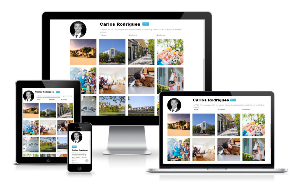 Social Media Branding