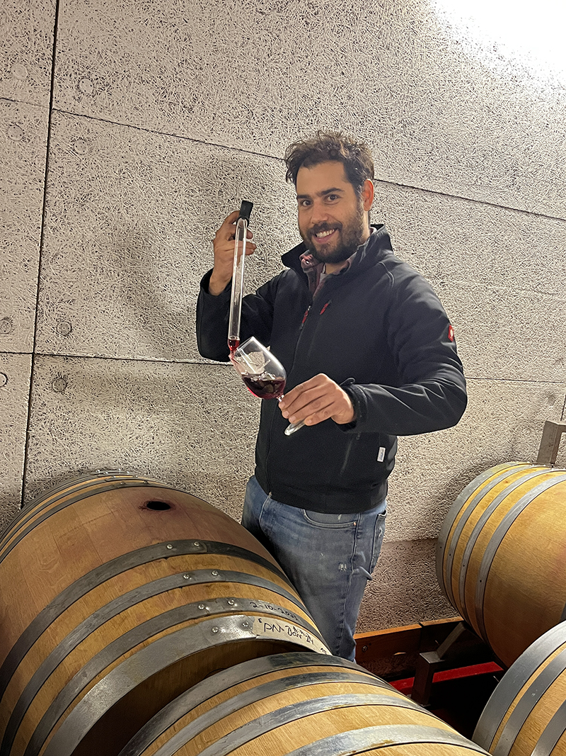 In der eigenen Trotte, dem Weinkeller, werden die Trauben zu Wein vergoren.