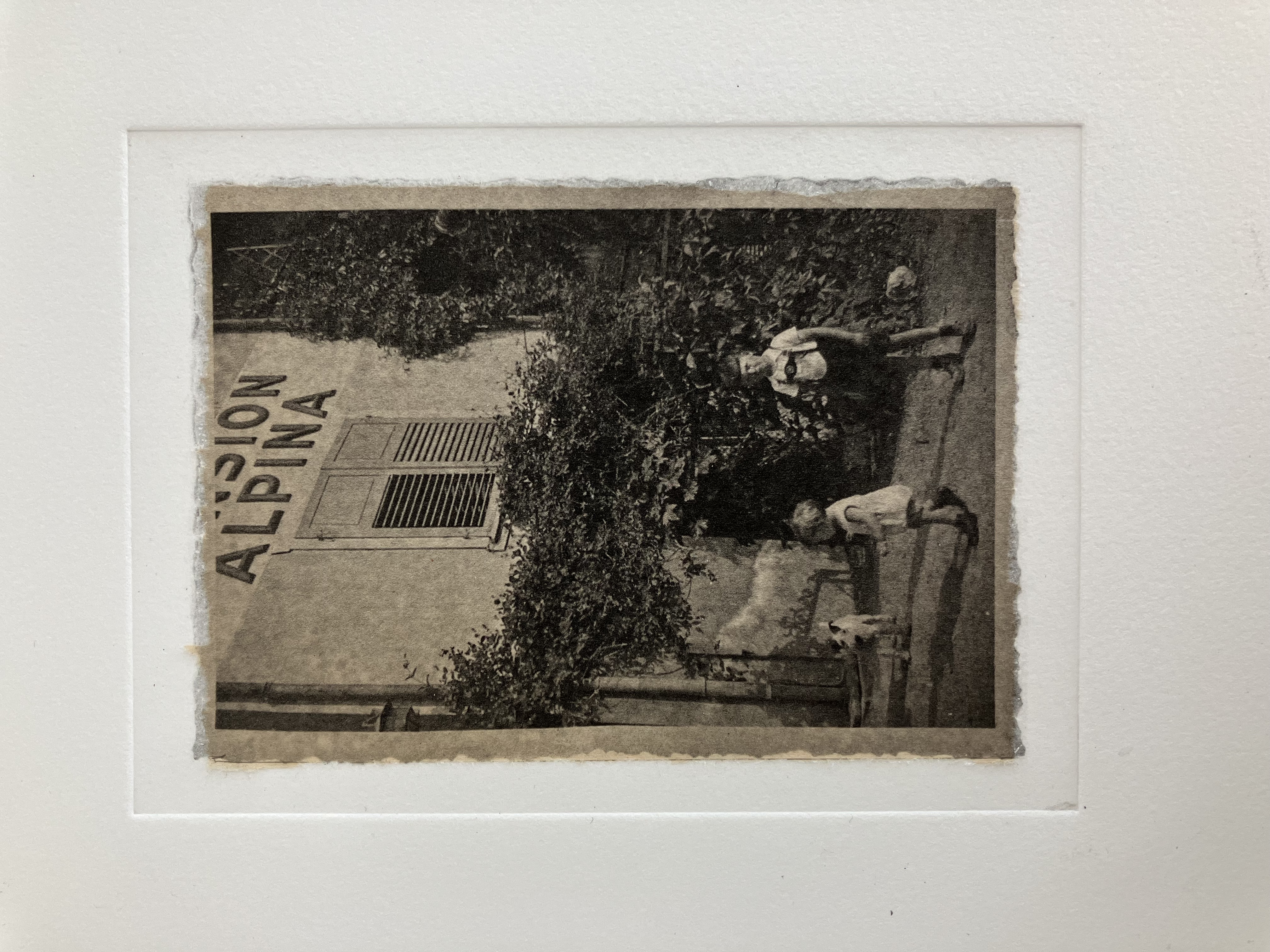 Pension Alpina, Photopolymer