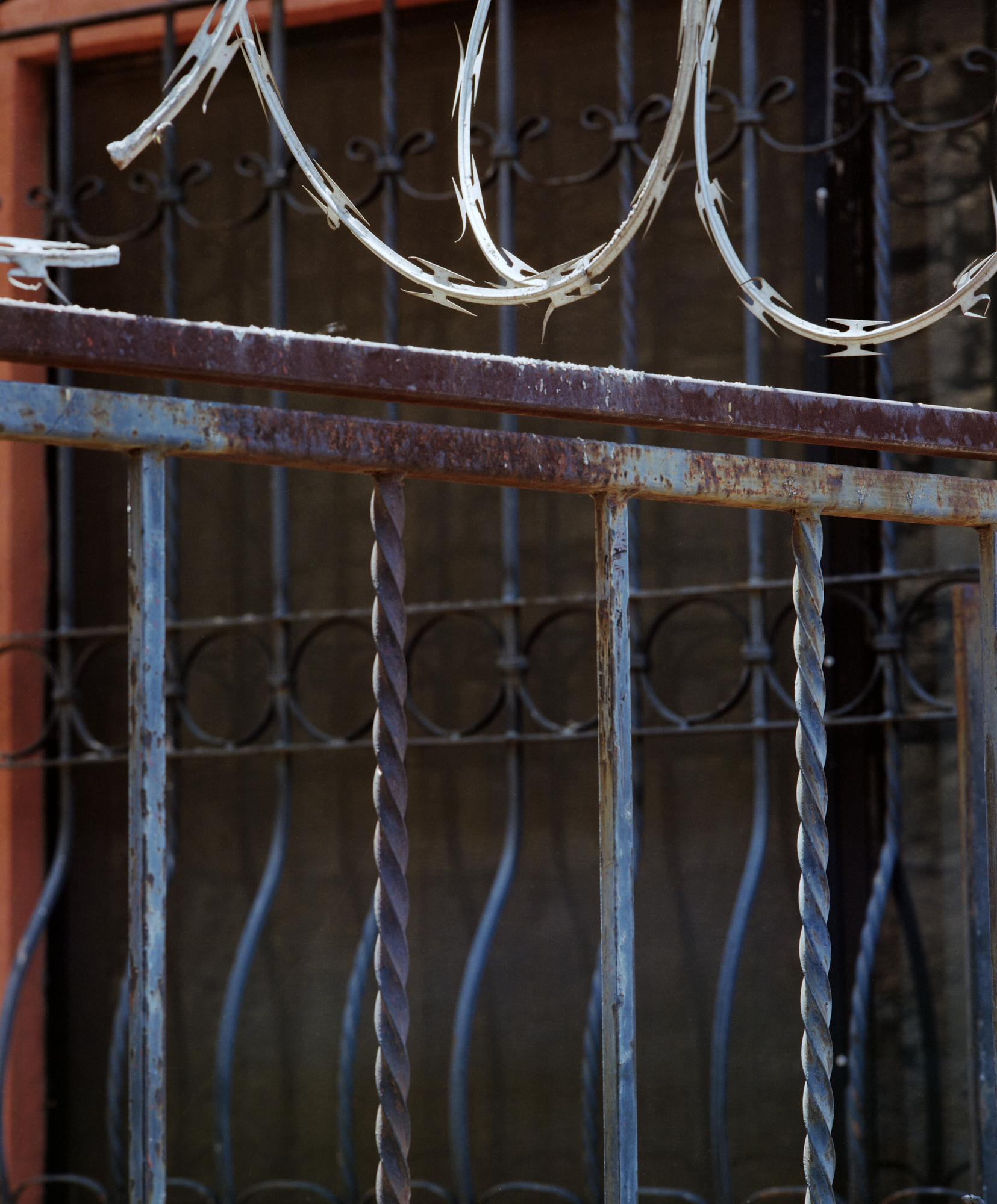 11/35, Untitled 2022