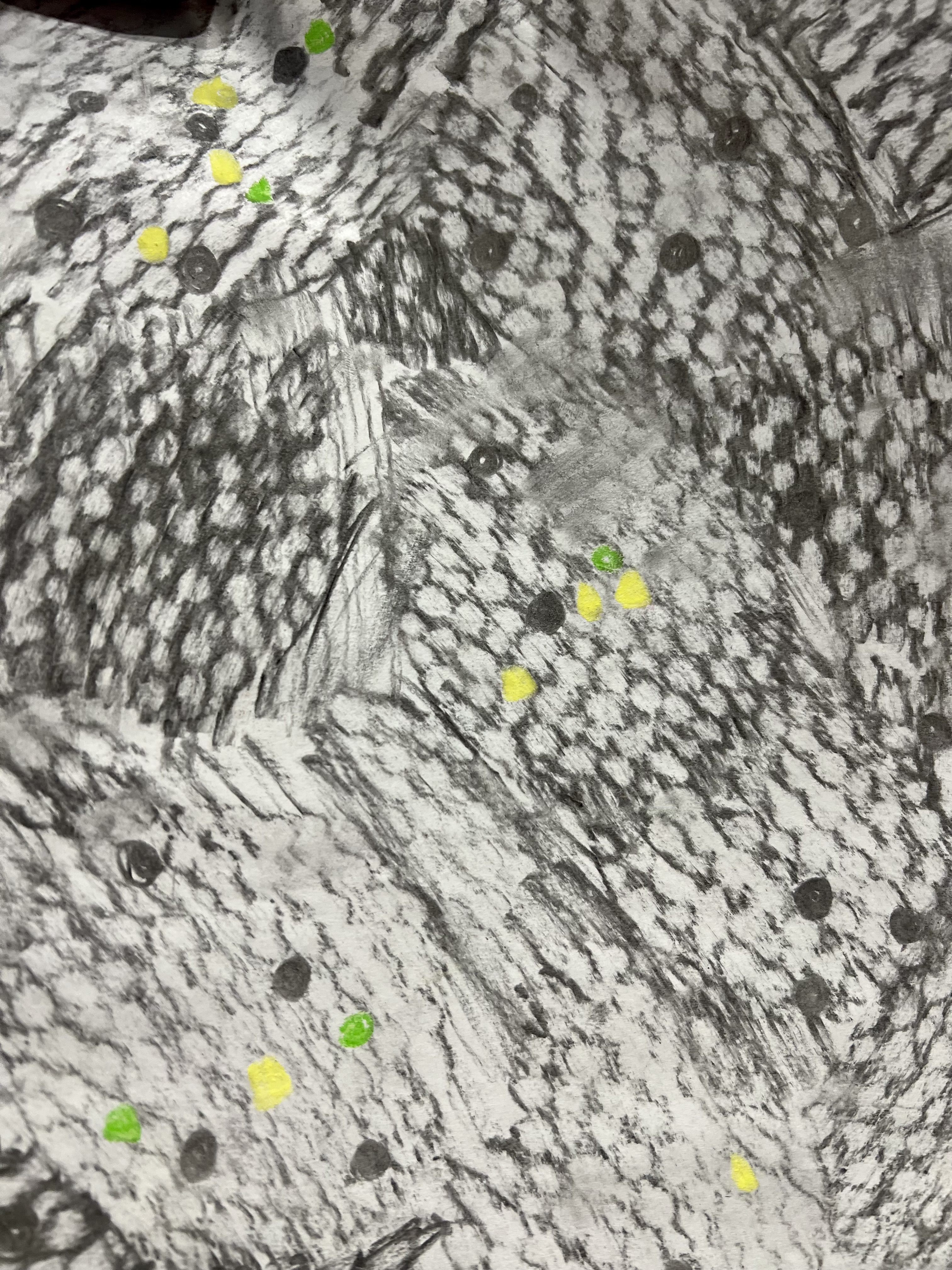 At Camden Council’s Community Health Event, I led a drop-in workshop where participants of all ages explored mindfulness and creativity through leaf, flower, and textile rubbings. The session promoted sustainable art practices, encouraging connections to nature and accessible creativity beyond the event.