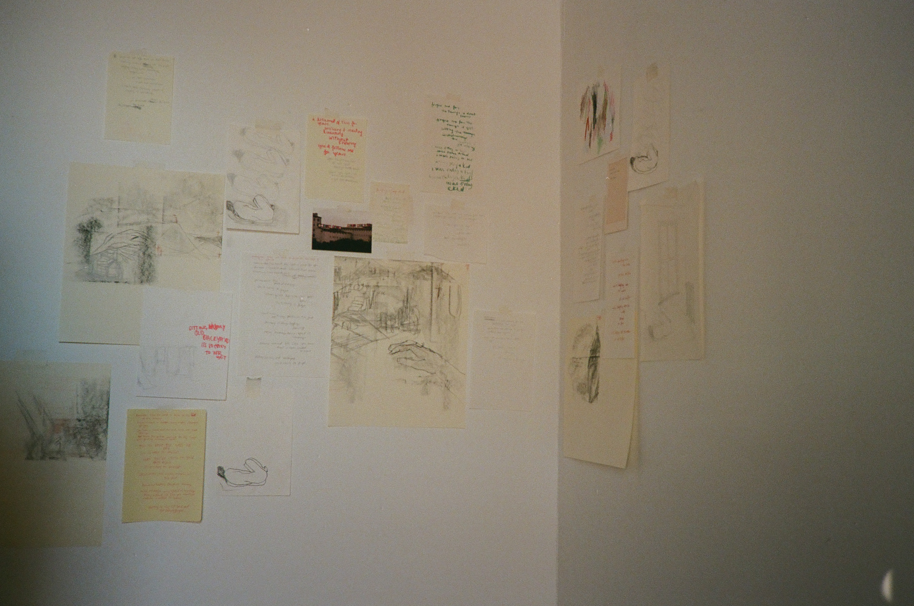 Photo by Saria Chatila