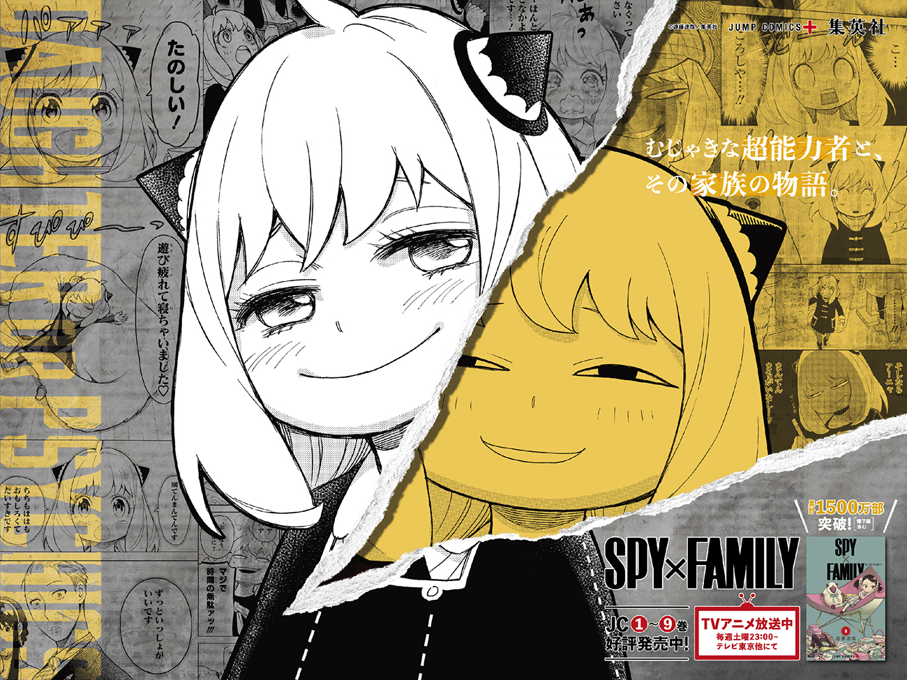 spyfamily - KENJO OHASHI