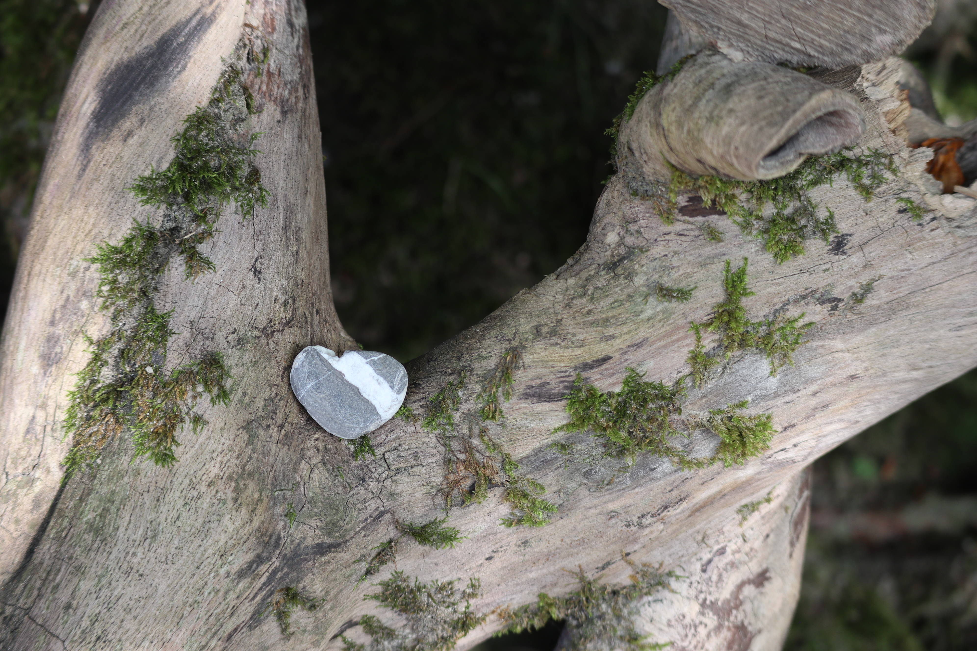 Von Herz zu Herz ber&uuml;hrt