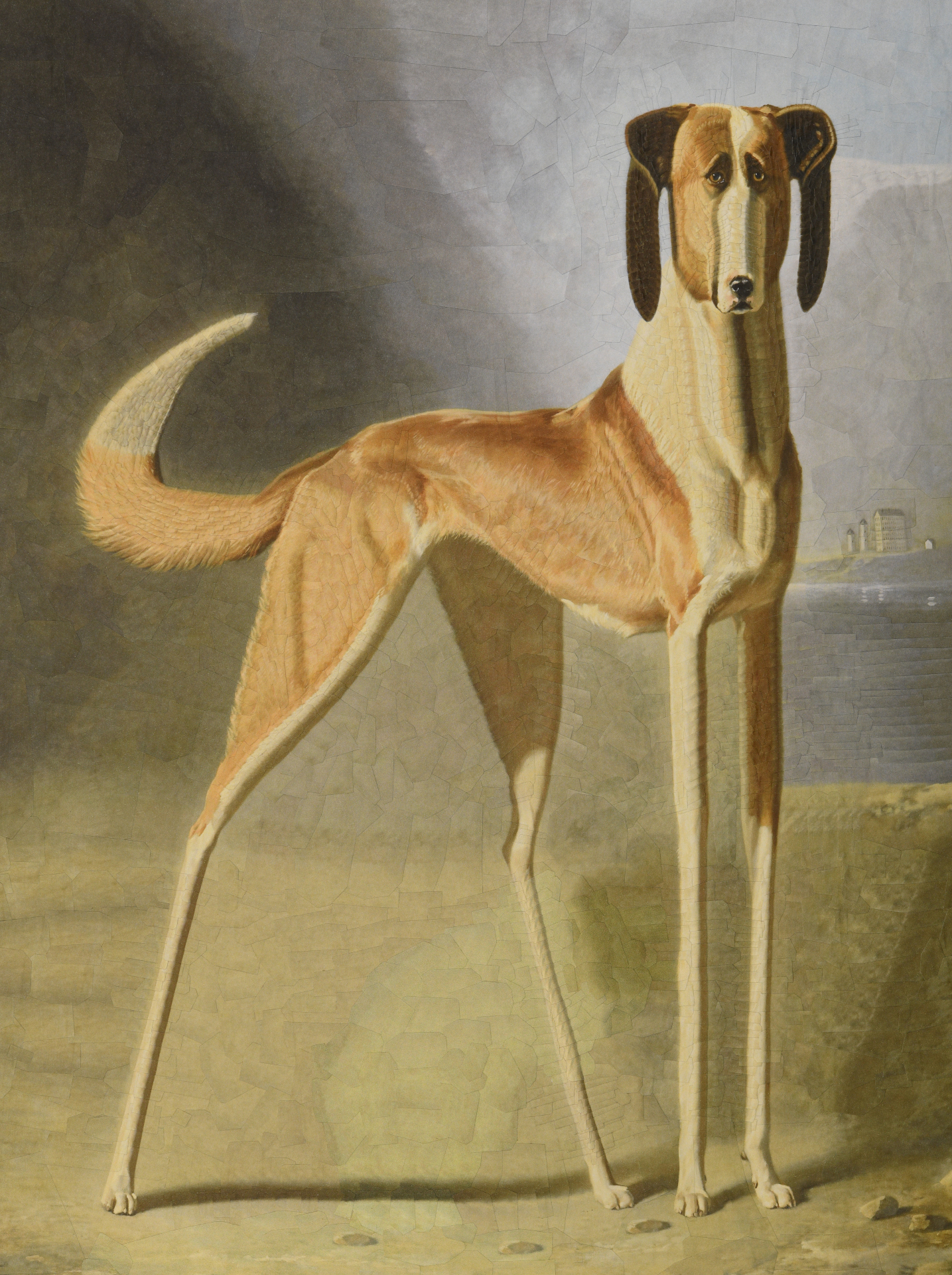 A very good boy, 2025, 12 x 16 inches