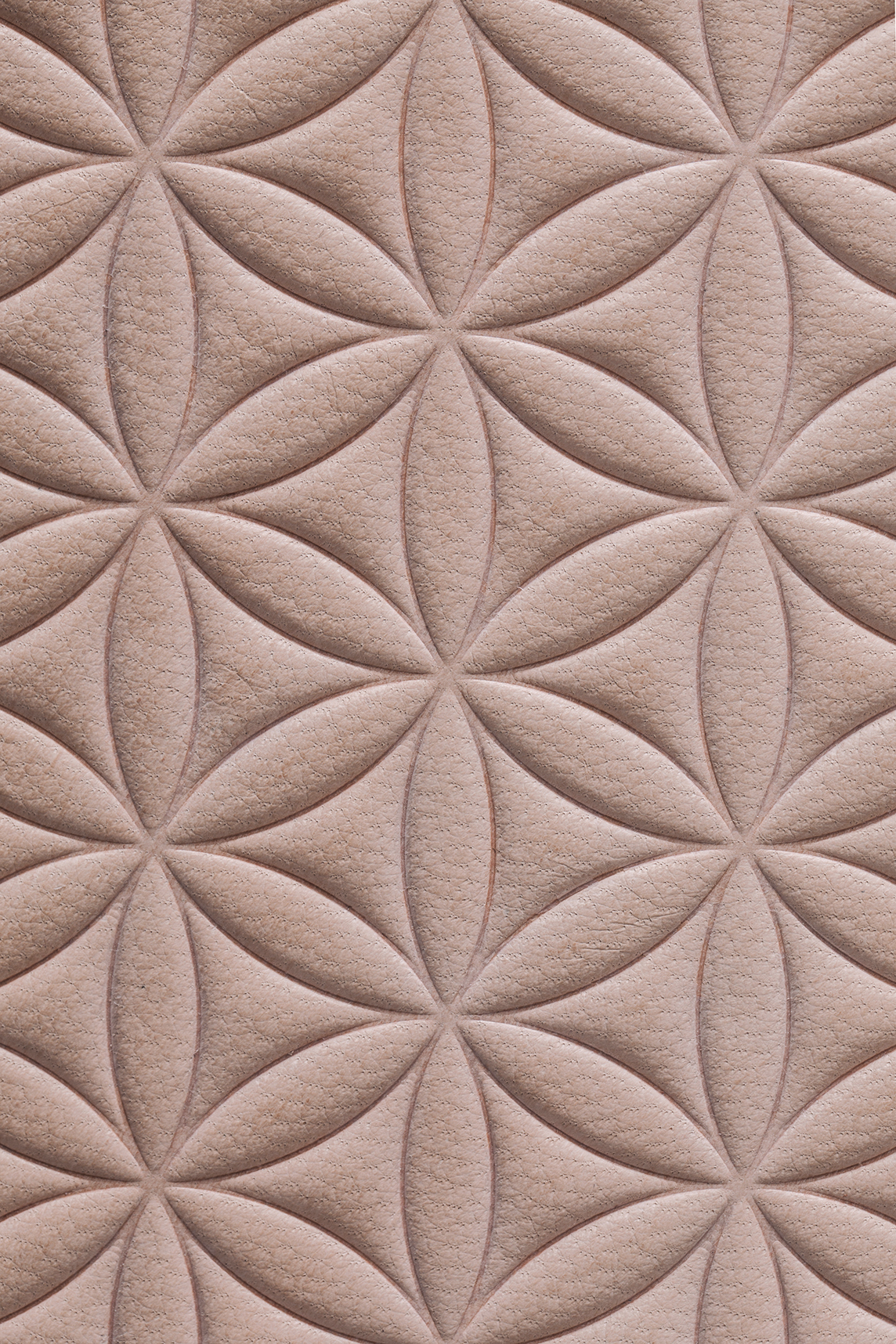 PHOTOGRAPHY RAF STUDIO OF MUTATIONS EXHIBITION AT MAD PARIS