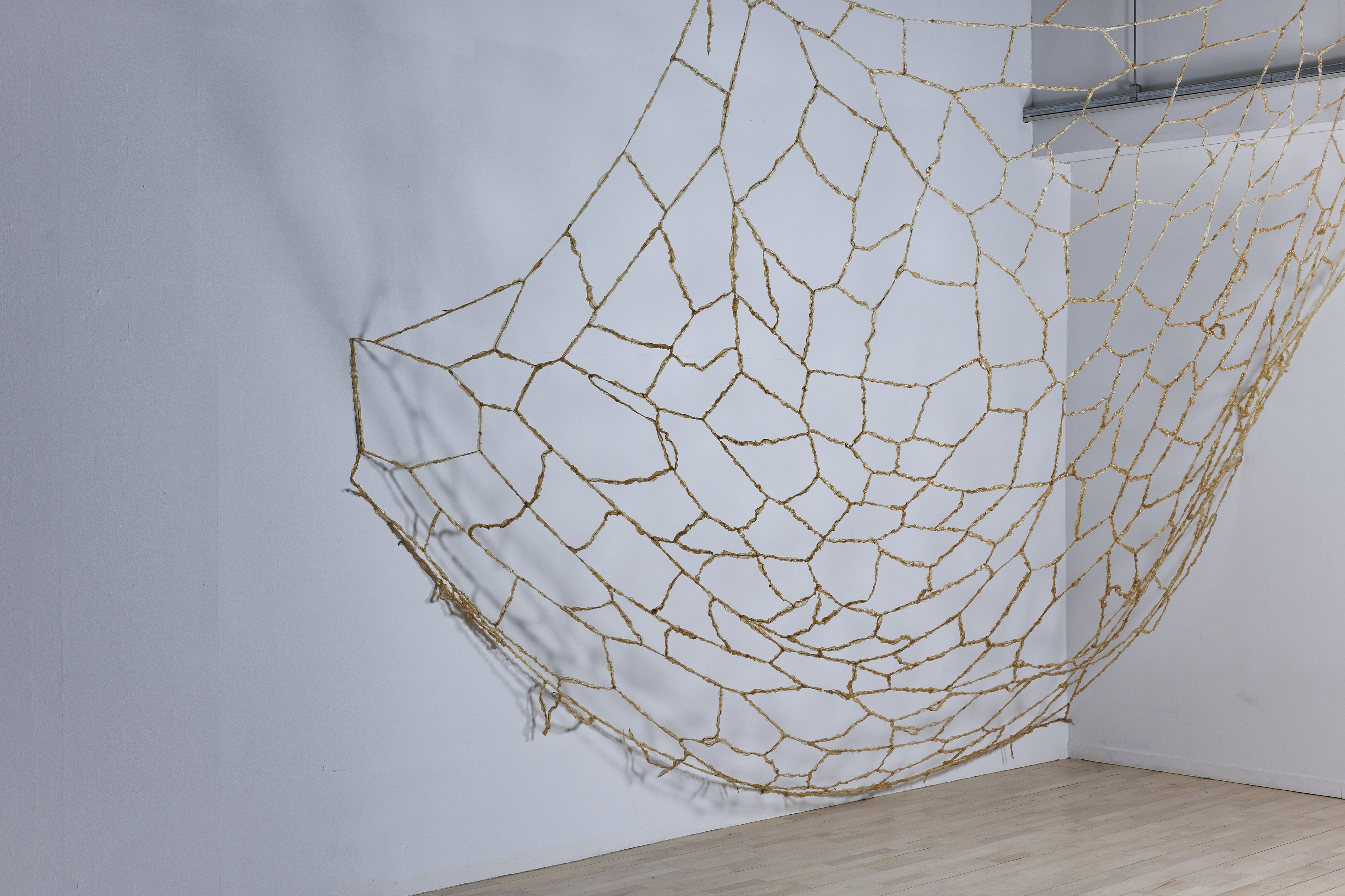 Reflectionlesses' Fishing