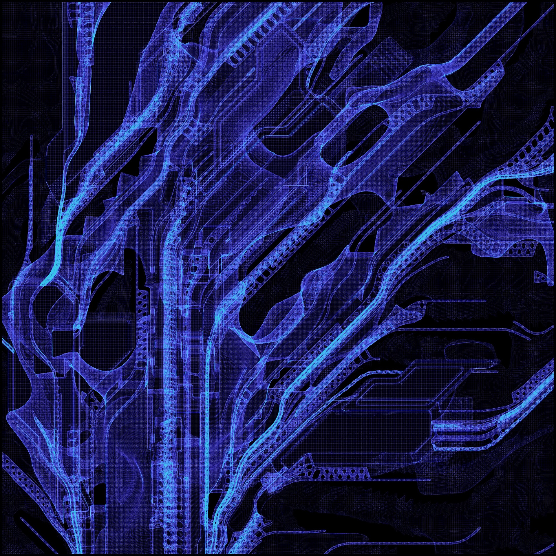 natural-technical hybrid, x-ray drawing