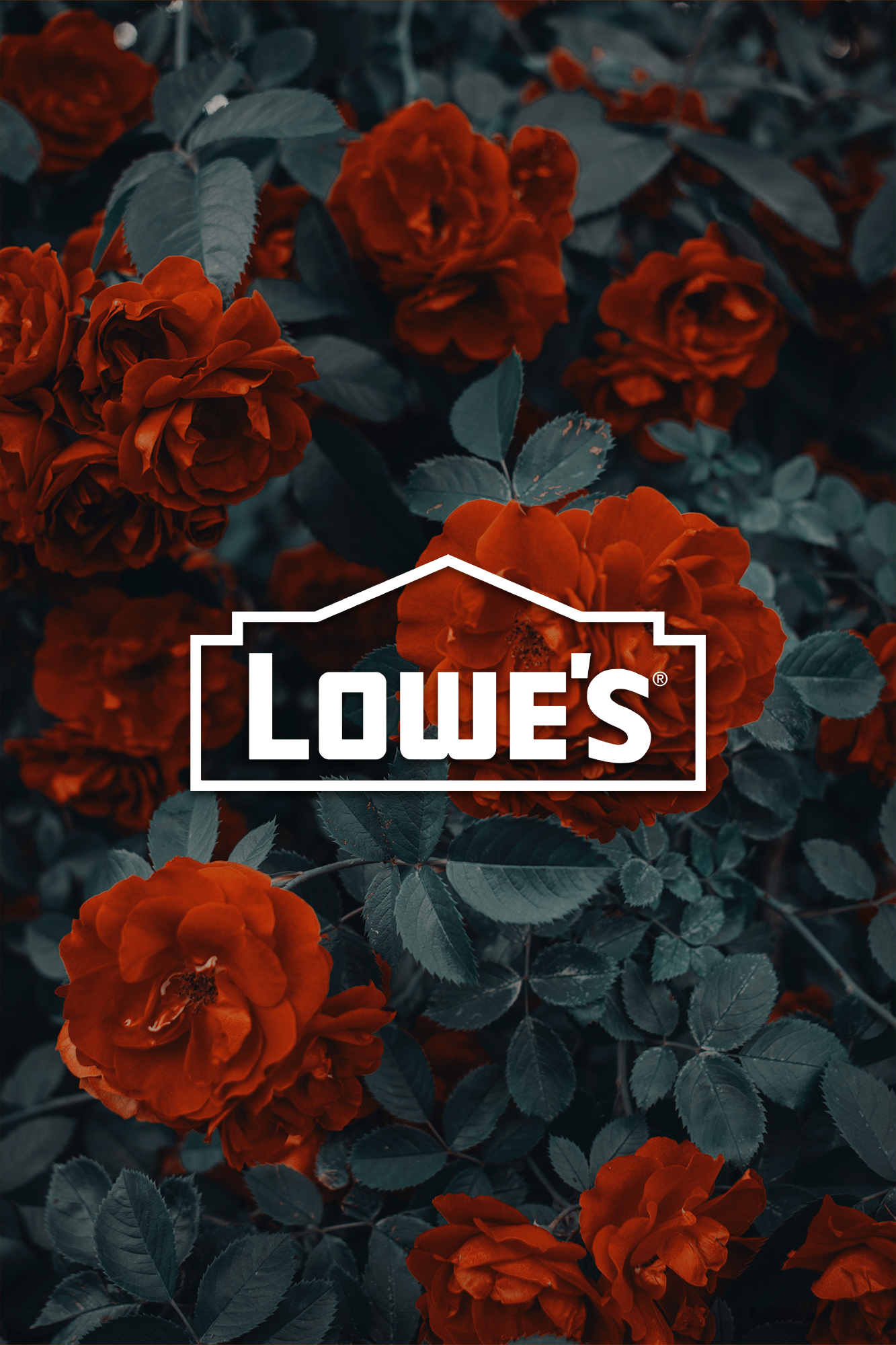lowes.