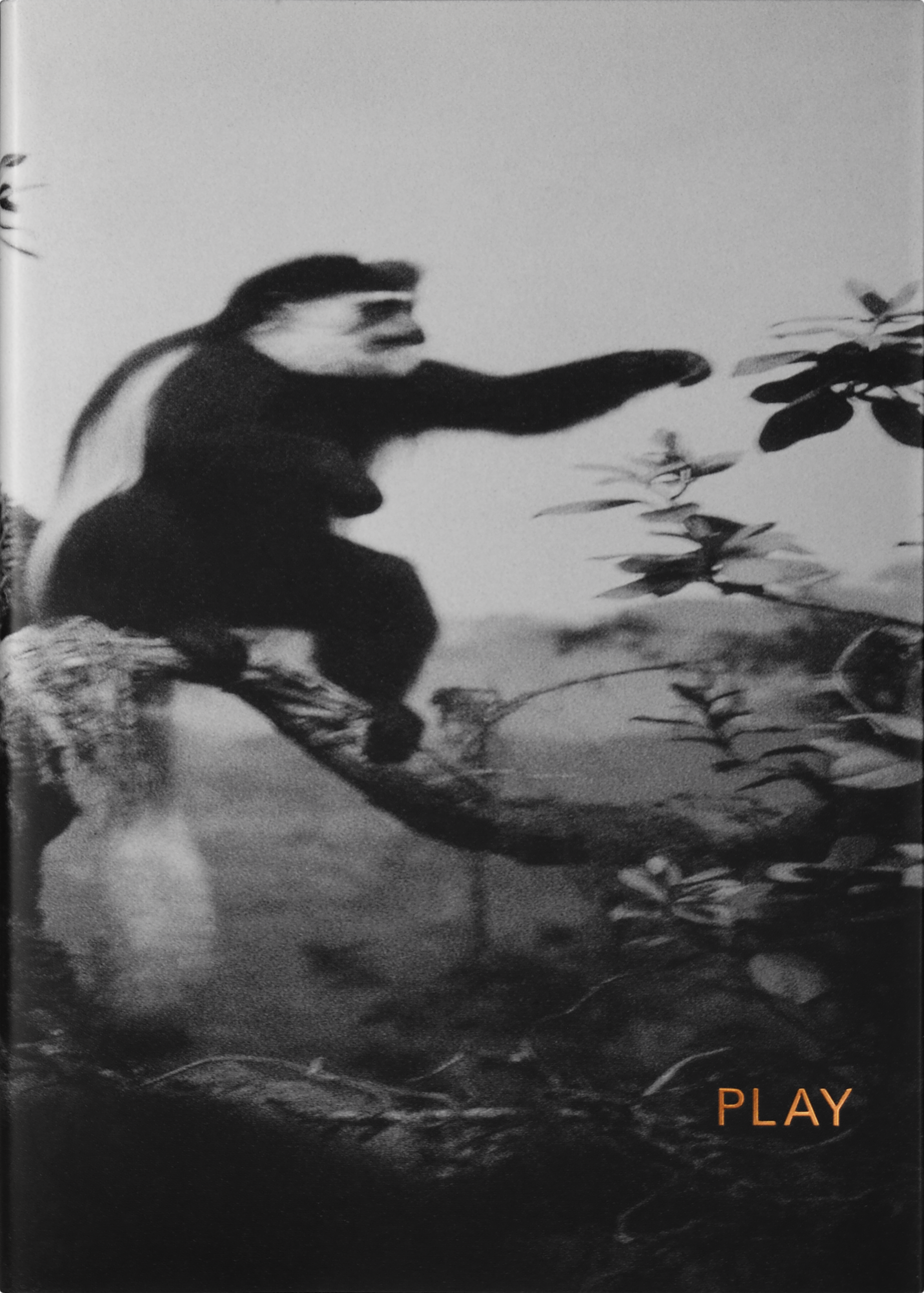 William Easton, Play, Arena, Stockholm 1997