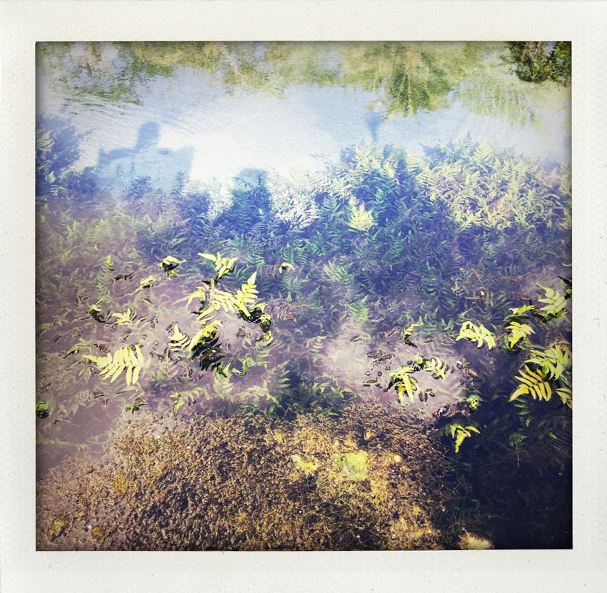 2015/08 Bali Indonesia