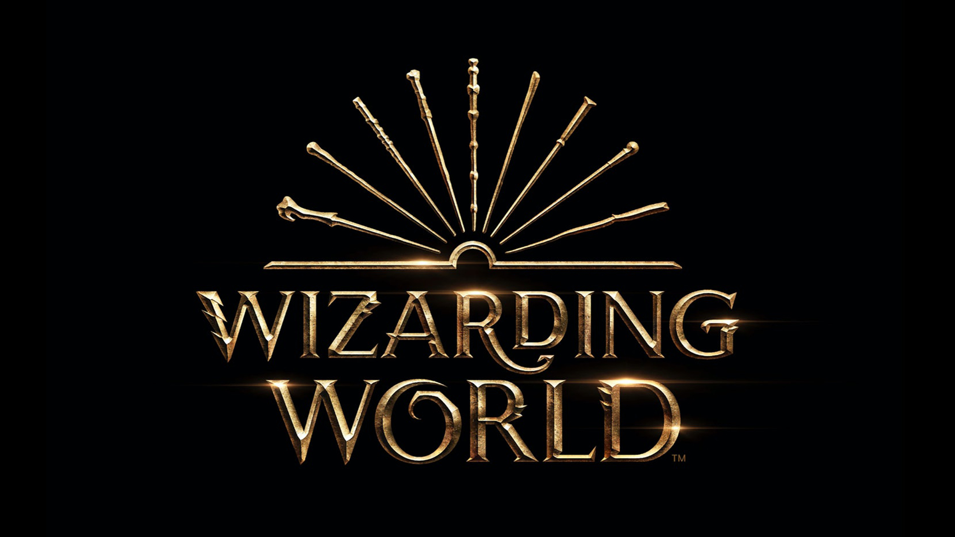 Wizarding World - Matt Varner
