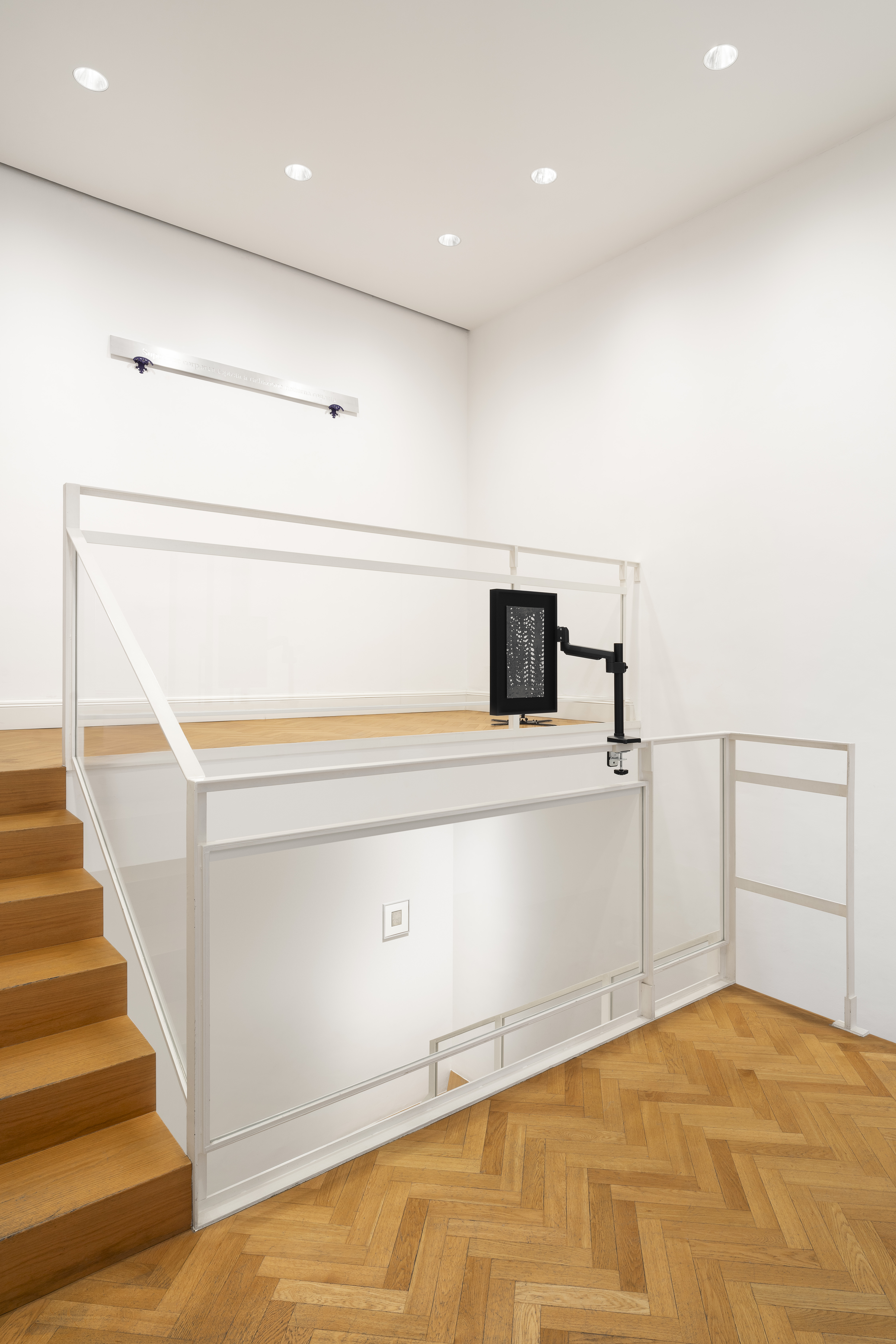 Installation view Mostra Transizioni con opere di Camilla Gurgone e Giorgio Di Noto, ph Tiziano Ercoli