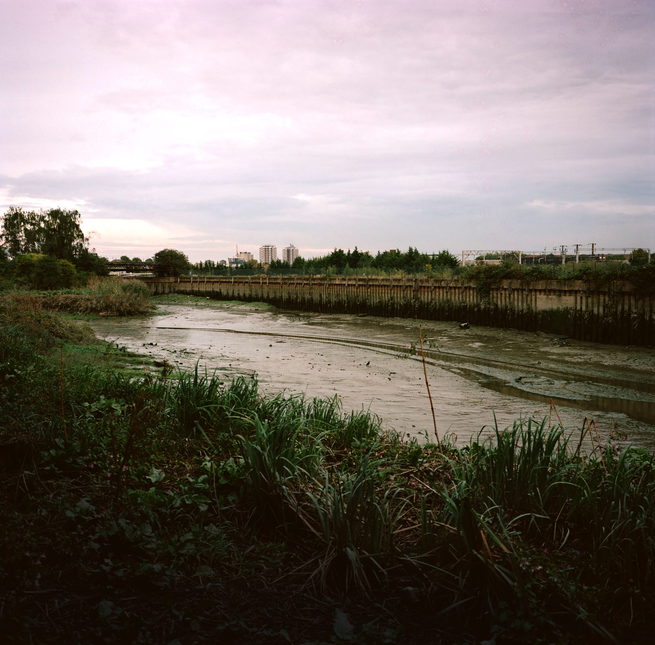 Channelsea Island  2017.