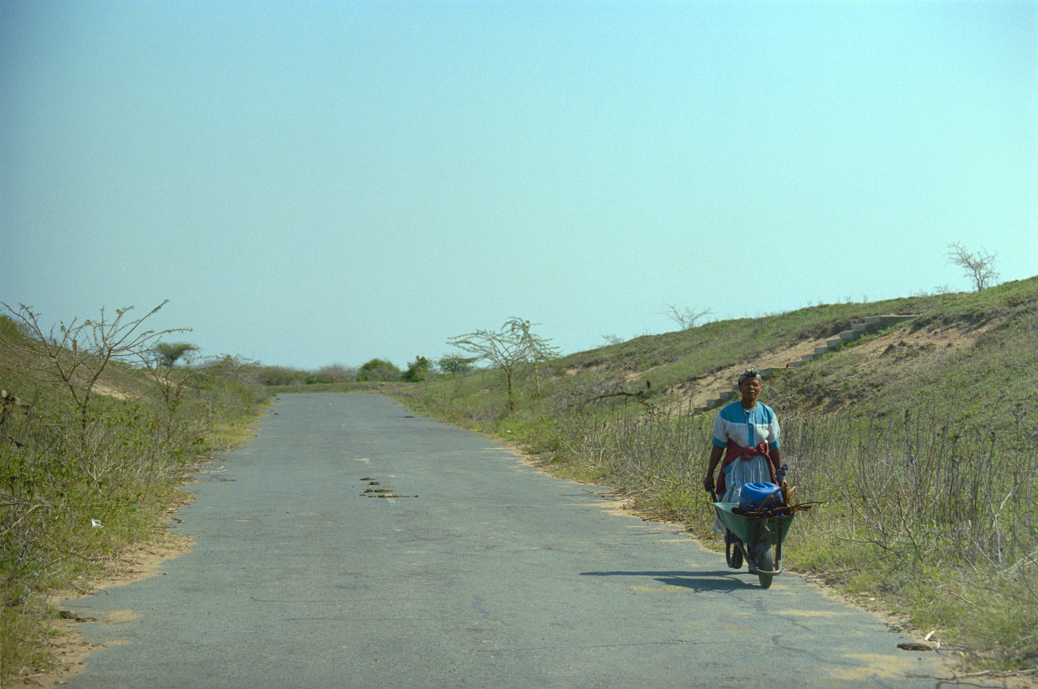 Woman With Wheelbarrow 
