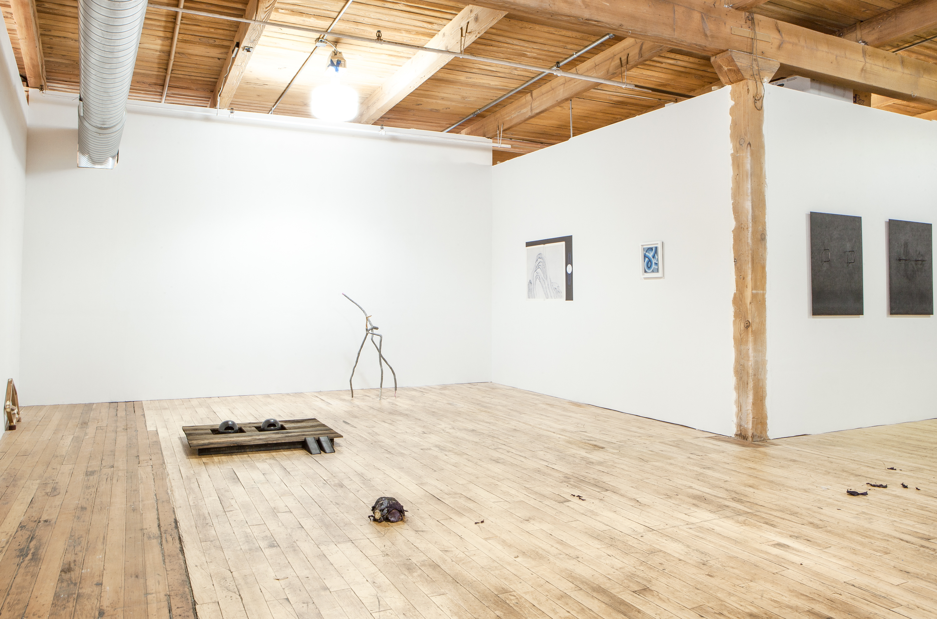 2/2 — PURPLE CABBAGE, THROWN.  Iteration of work installed for the exhibition Employee of the Month at South of the Tracks in Chicago, IL in October 2017. Second-iteration presented in 2020 for the exhibition Distant Future, curated by Jova Lynn at Vermont Studio Center. One purple-leaved Brassica oleracea Capitata (Purple Cabbage), approximately six lbs., thrown from above the artist's or proxy's head onto the gallery floor. Dimensions variable, average approximately 42' trajectory to landing-place; edition of eight with one AP, 2017.