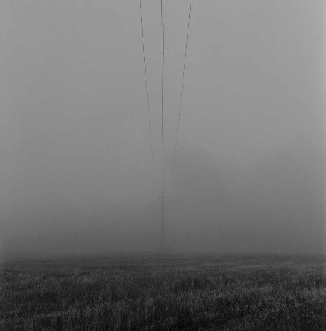 POWERLINES