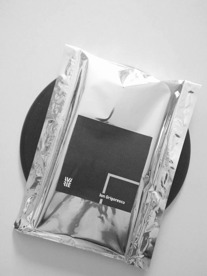 alt="Ion Grigorescu From static oblivion book cover"