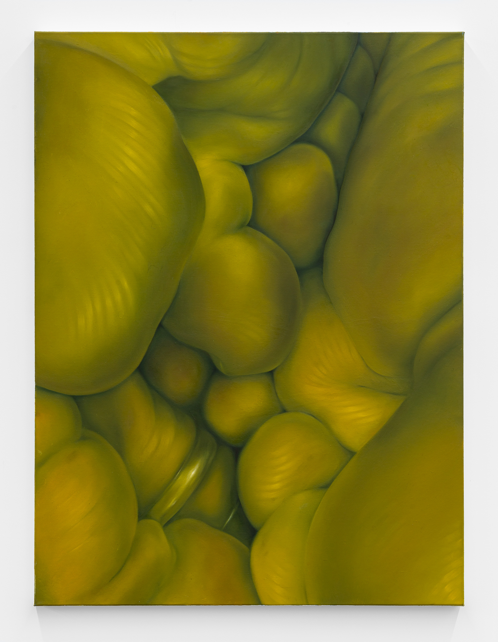 Combination Skin (2022), oil on canvas, 30x40"