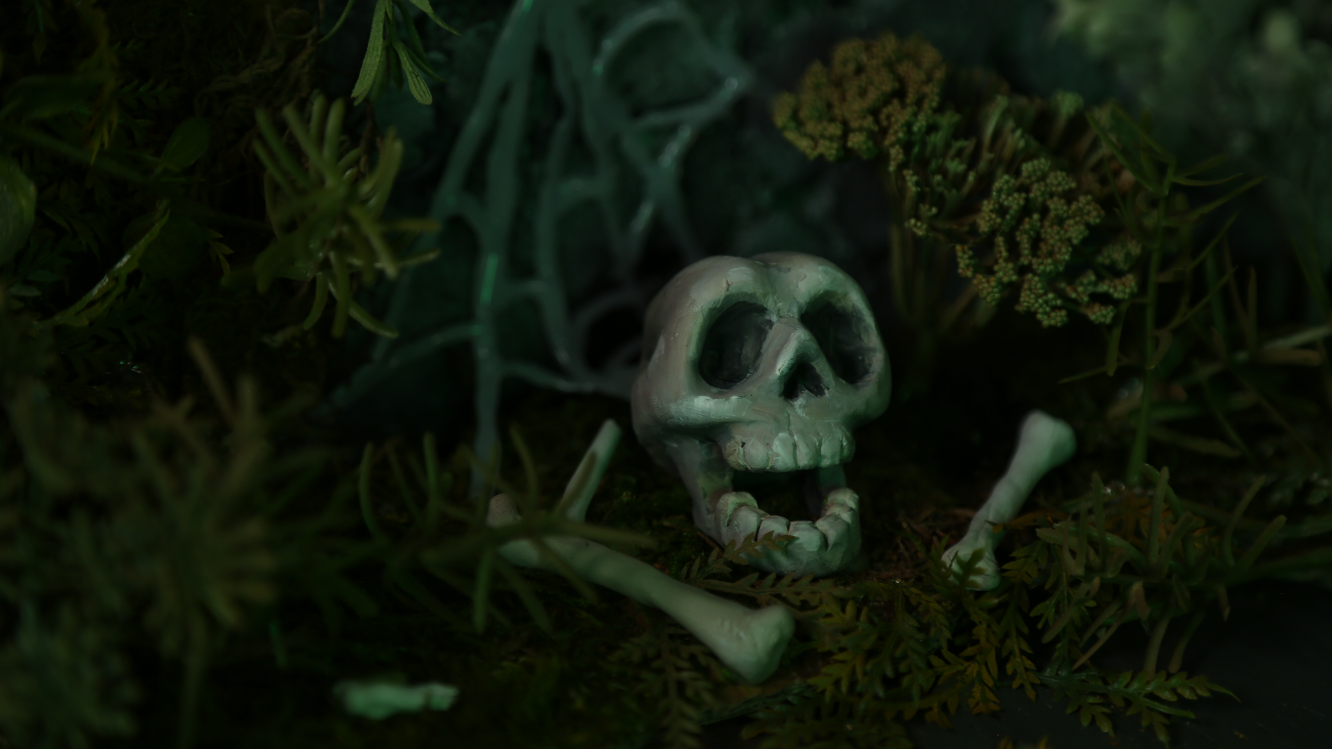 Story Sparrow, Film Still, Stop Motion, 2024