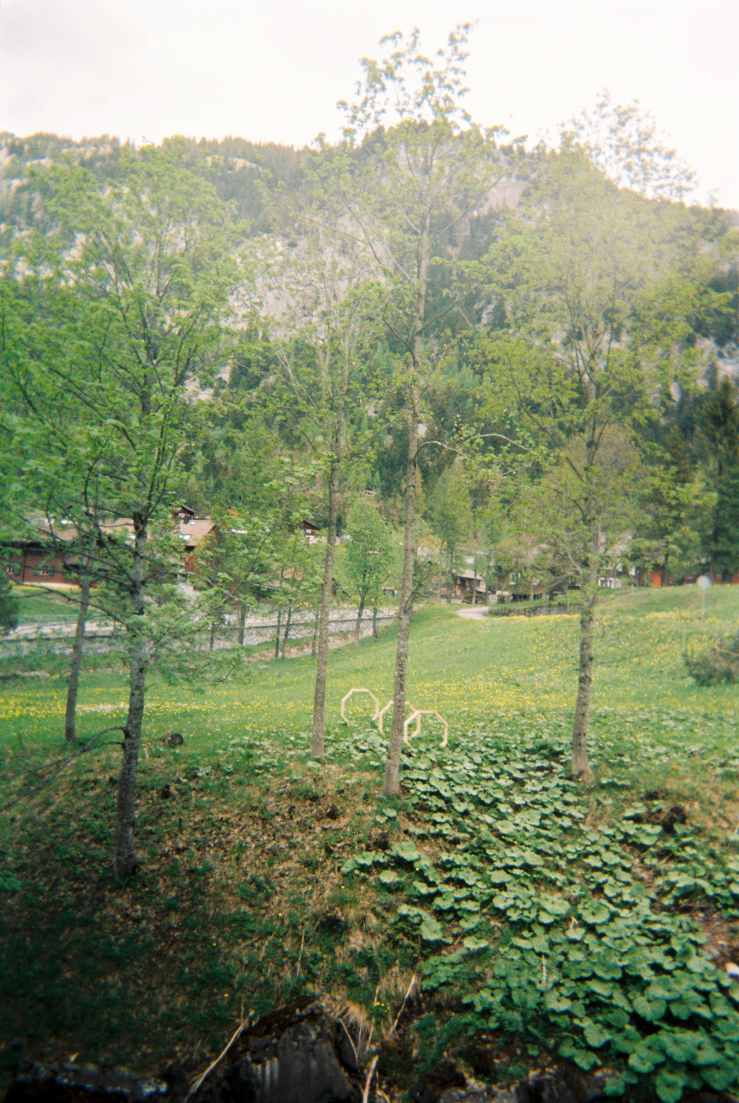 Photographs taken while walking on THE LINE in Liechtenstein by Studio Venice