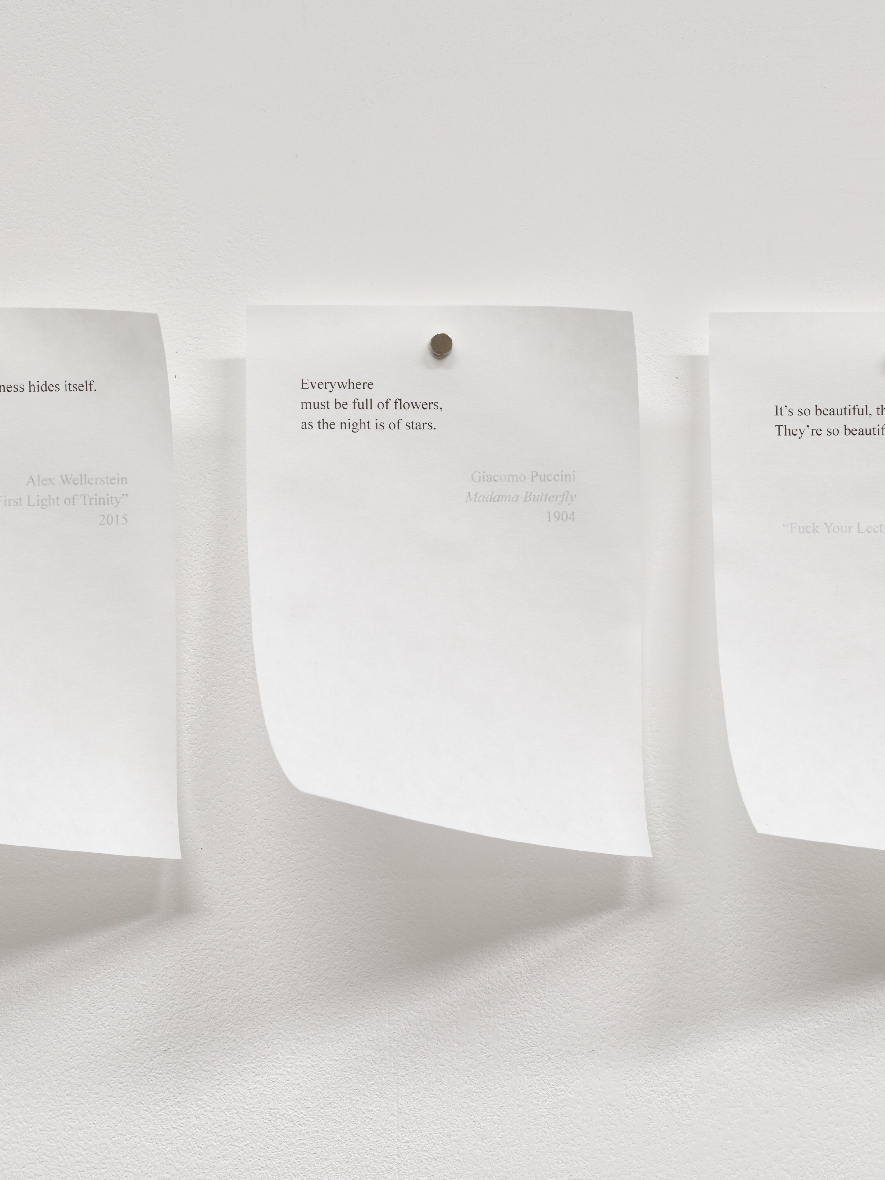 Poem in High Contrast, 2025. Inkjet print on tracing paper with magnets.