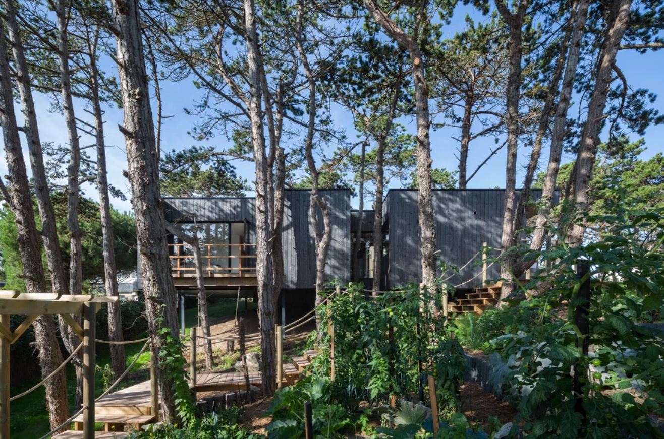 004- Maison arbre - Atelier victoria migliore