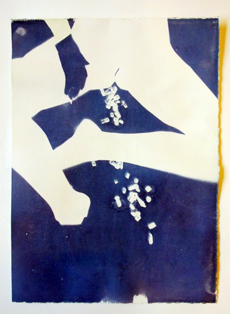 Blue Print 25, 2012