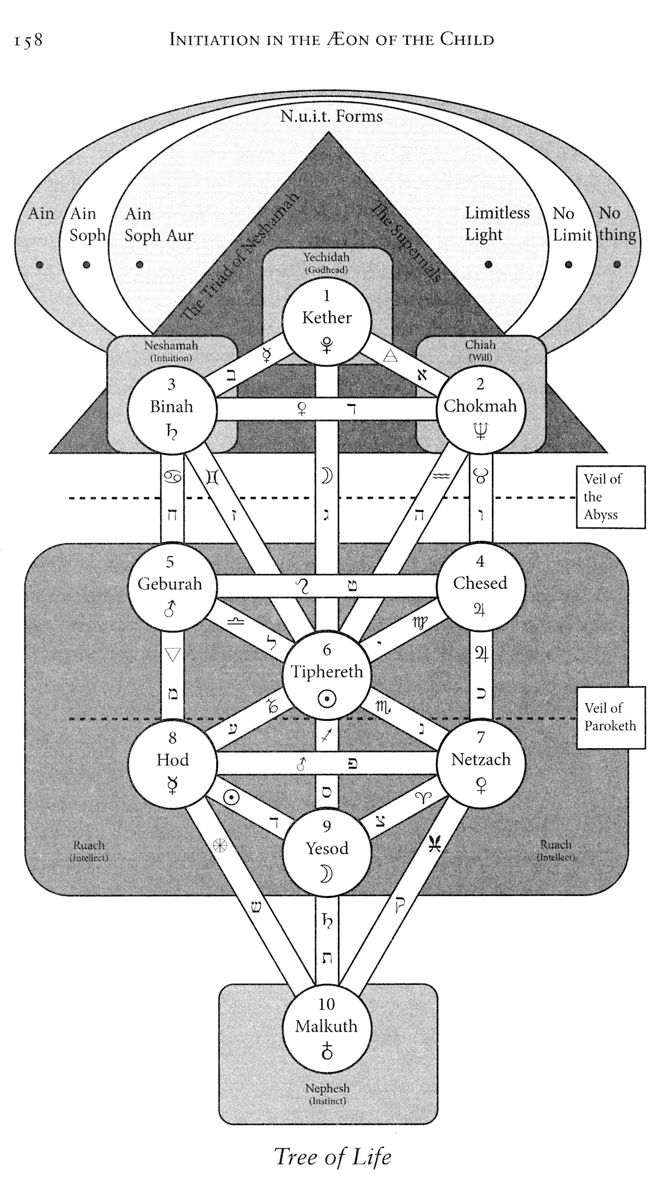 Tree of Life — Mystic Symbolism