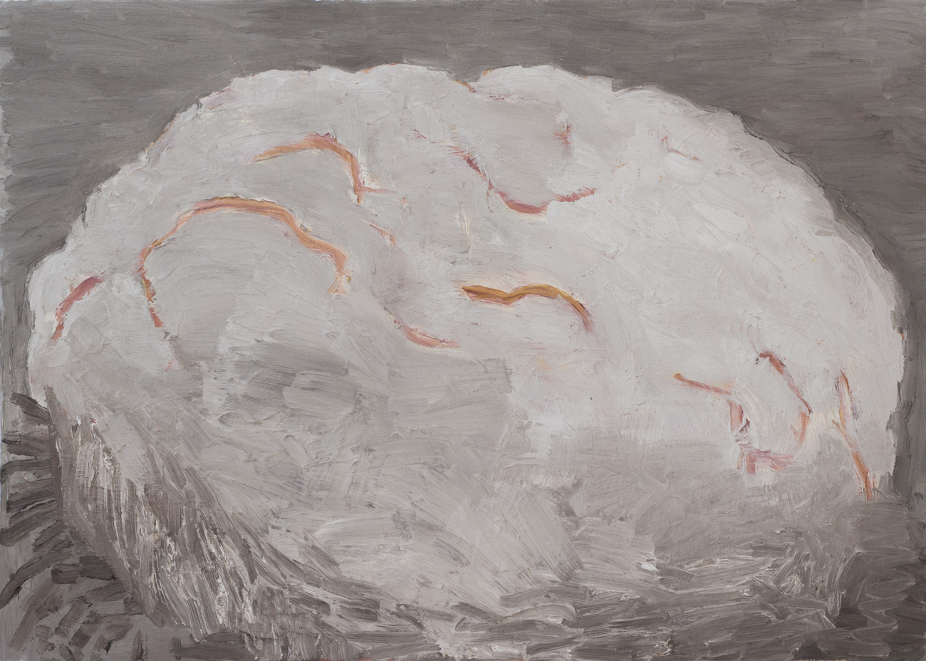 Explos&atilde;o cinza, 2017, &oacute;leo sobre tela, 50 x 70 cm